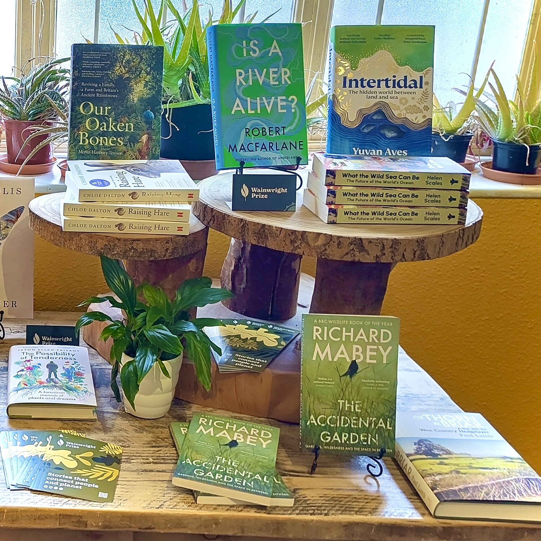 5. Wainwright book display.jpg.png