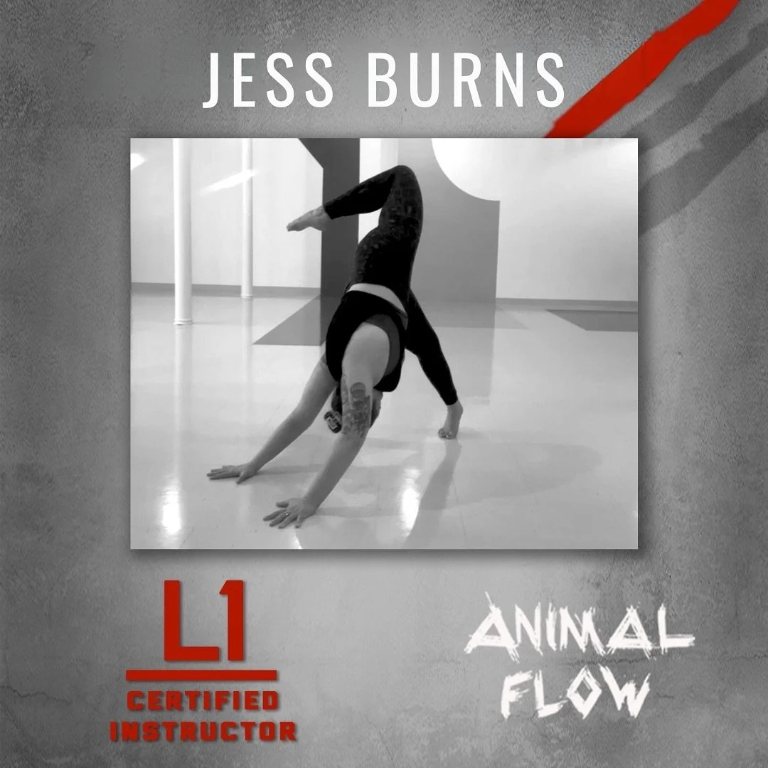 proud to share that I&rsquo;m ✨officially✨ a Level 1 Certified Instructor in Animal Flow! 

this process has been a challenge in mental and physical fortitude that opened up my practice in unexpected ways. v thankful for @kateabooth for keeping me mo