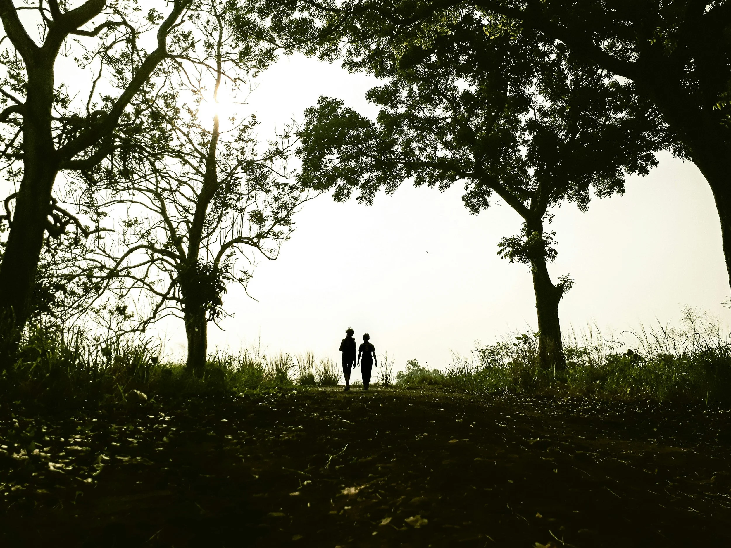 Prenuptial Agreement Navigation