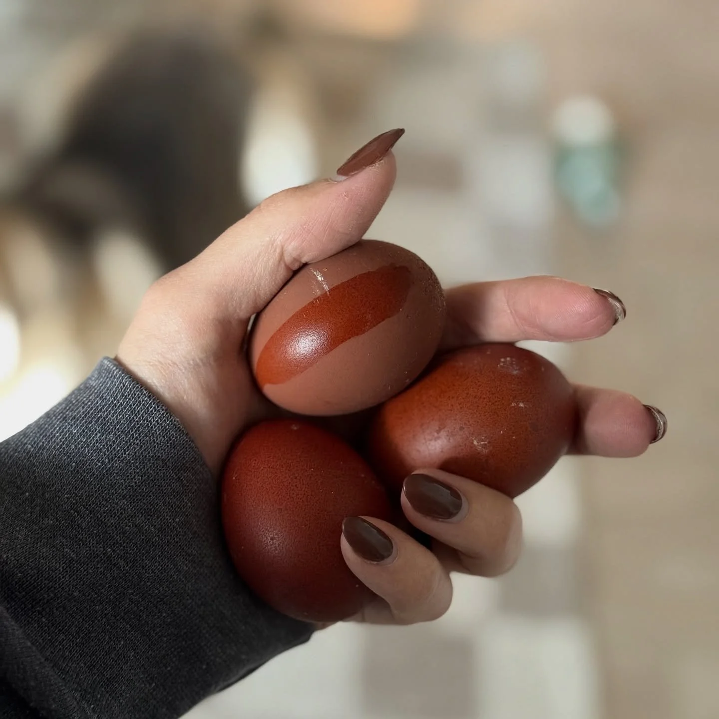 These Heavy Bloom Marans aren&rsquo;t flocking around. Loving these purple and mauve blooms I&rsquo;ve been getting. I&rsquo;m so excited to be able to offer them in the spring! 💜