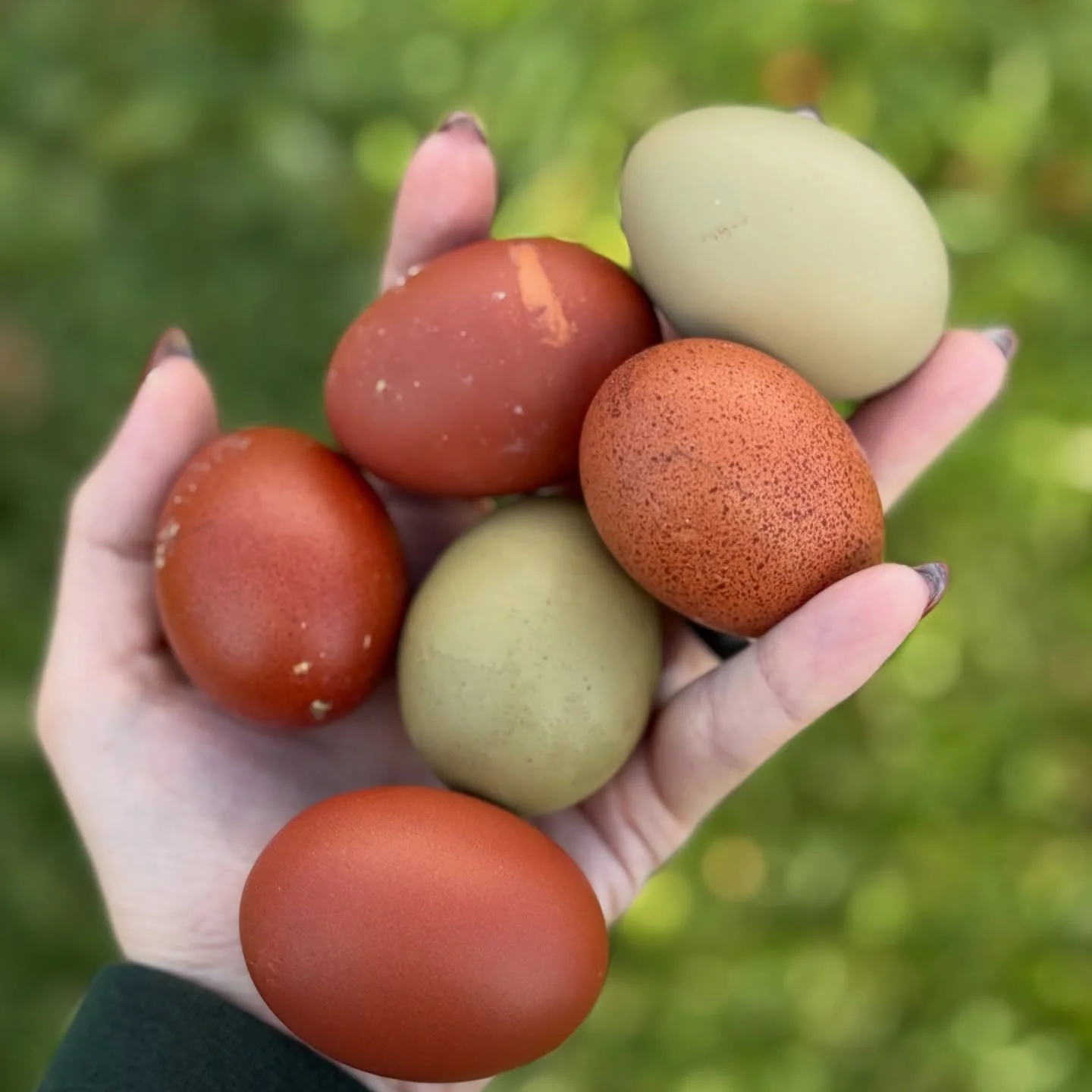 Some moody fall grabs.