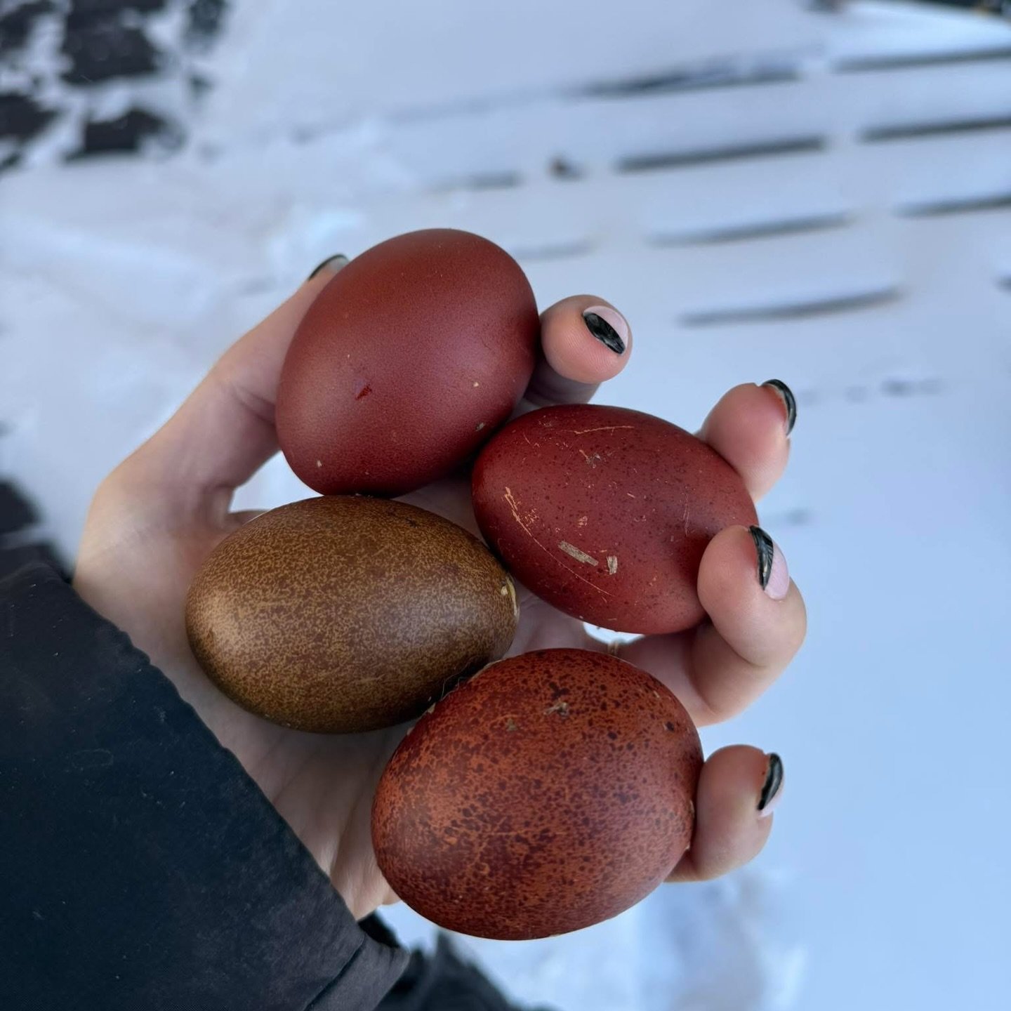 Pre-orders are live on my website! &hearts;️ Happy New Year.