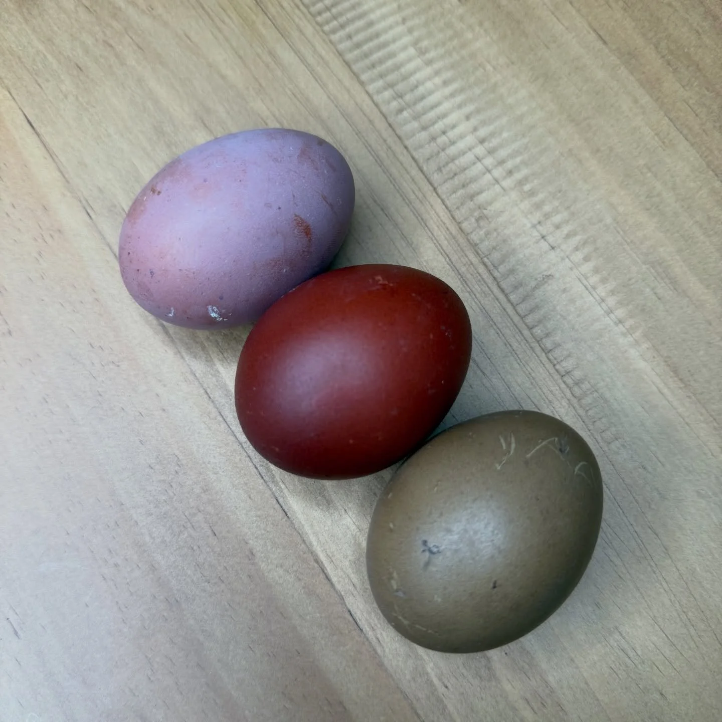 Proof that eggs can be a color palette 🎨

Which one are you choosing &mdash; mauve, mahogany, or olive? 👇
