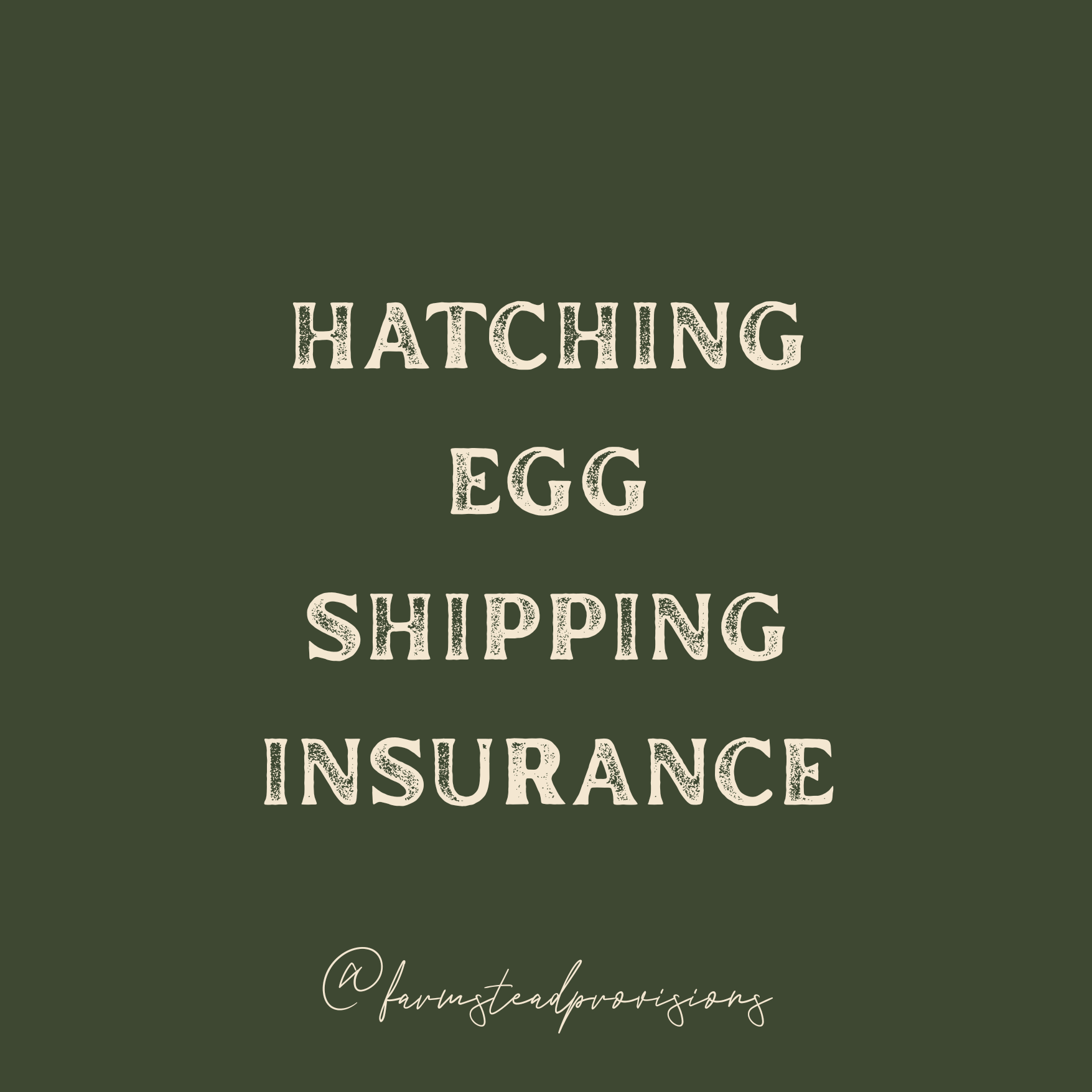 Shipping Insurance