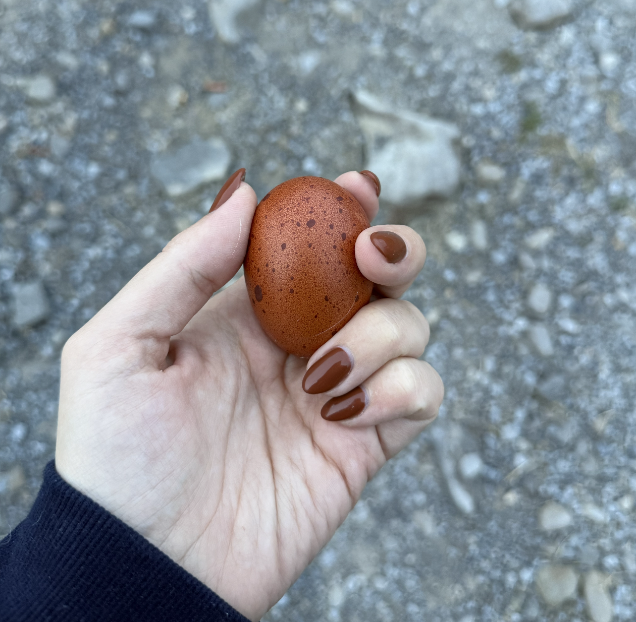 Screenshot 2025-12-03 at 2.41.21 PM.png