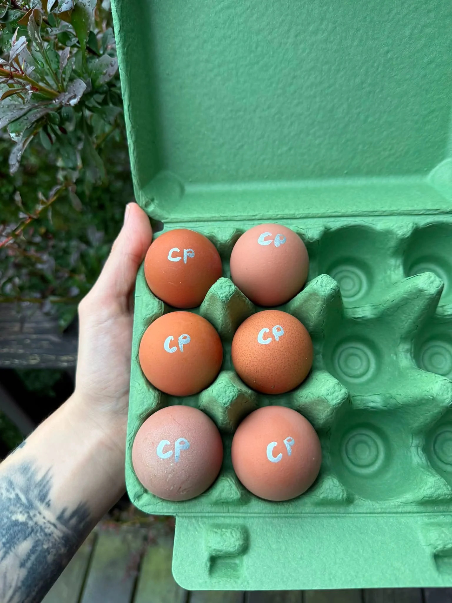 749174216_1828614198120640_7634644232462469706_n.jpeg