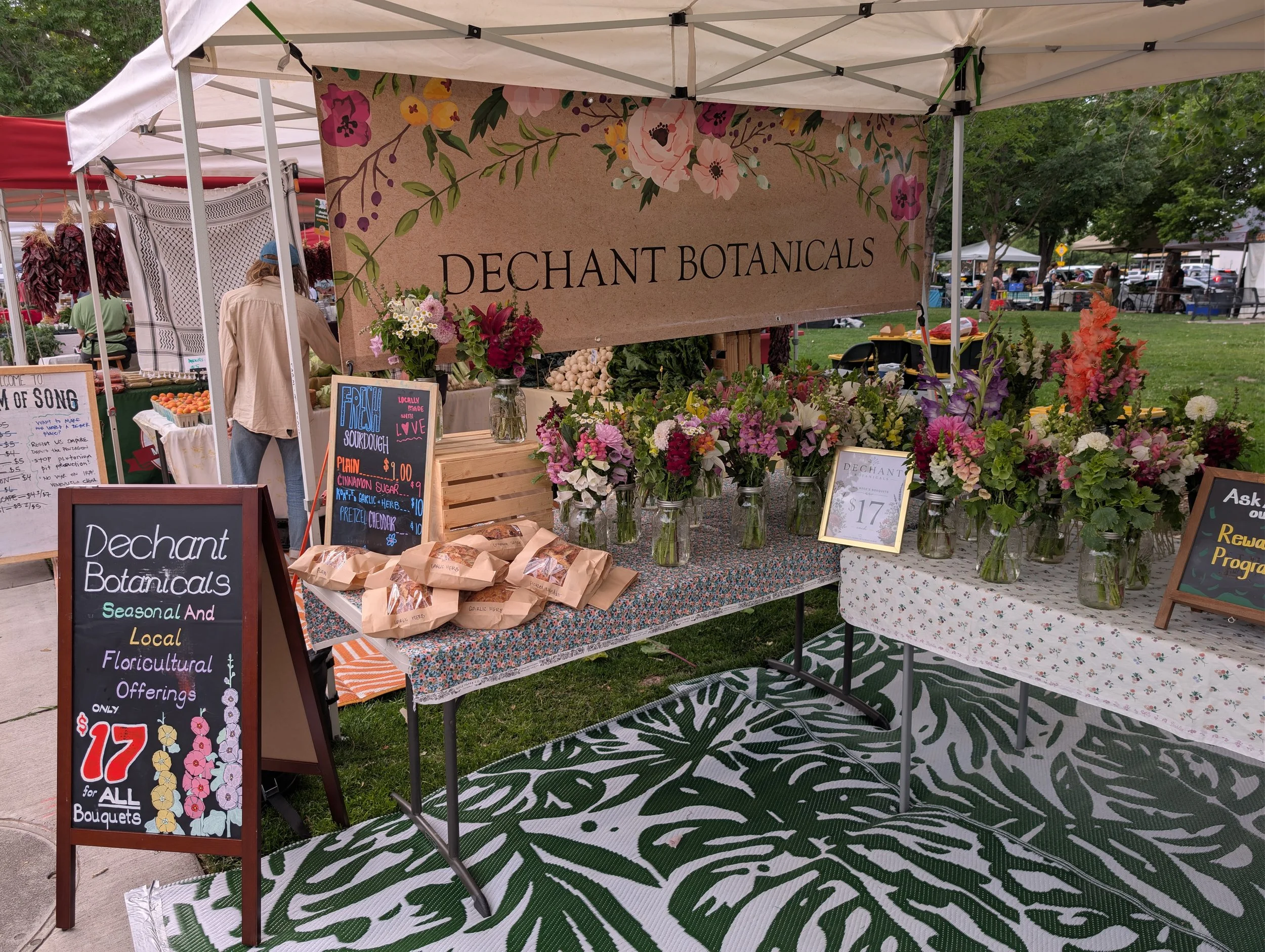 PXL_20260613_135154608.jpg