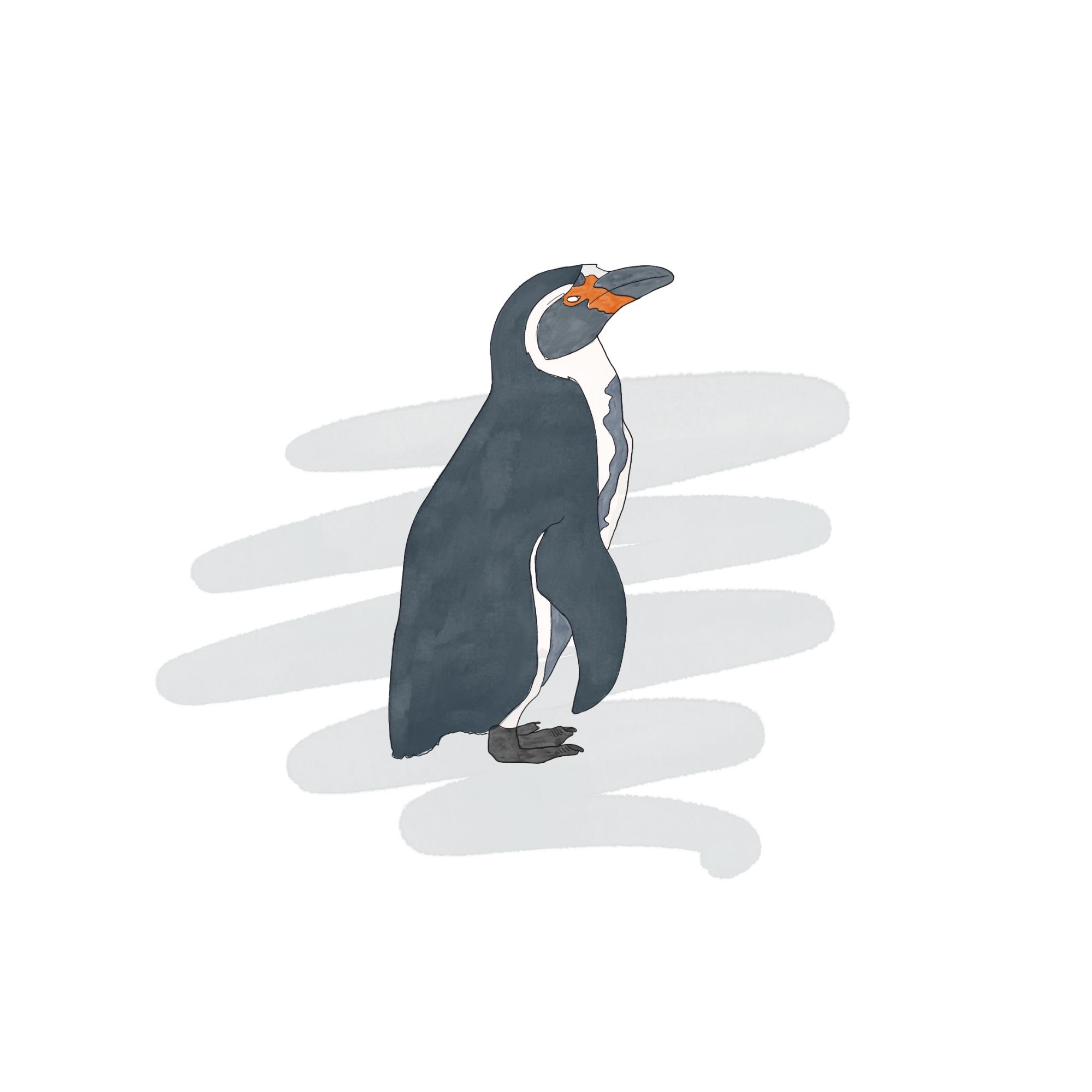 Standing Penguin Illustration – Cool Antarctic Animal Drawing.jpg