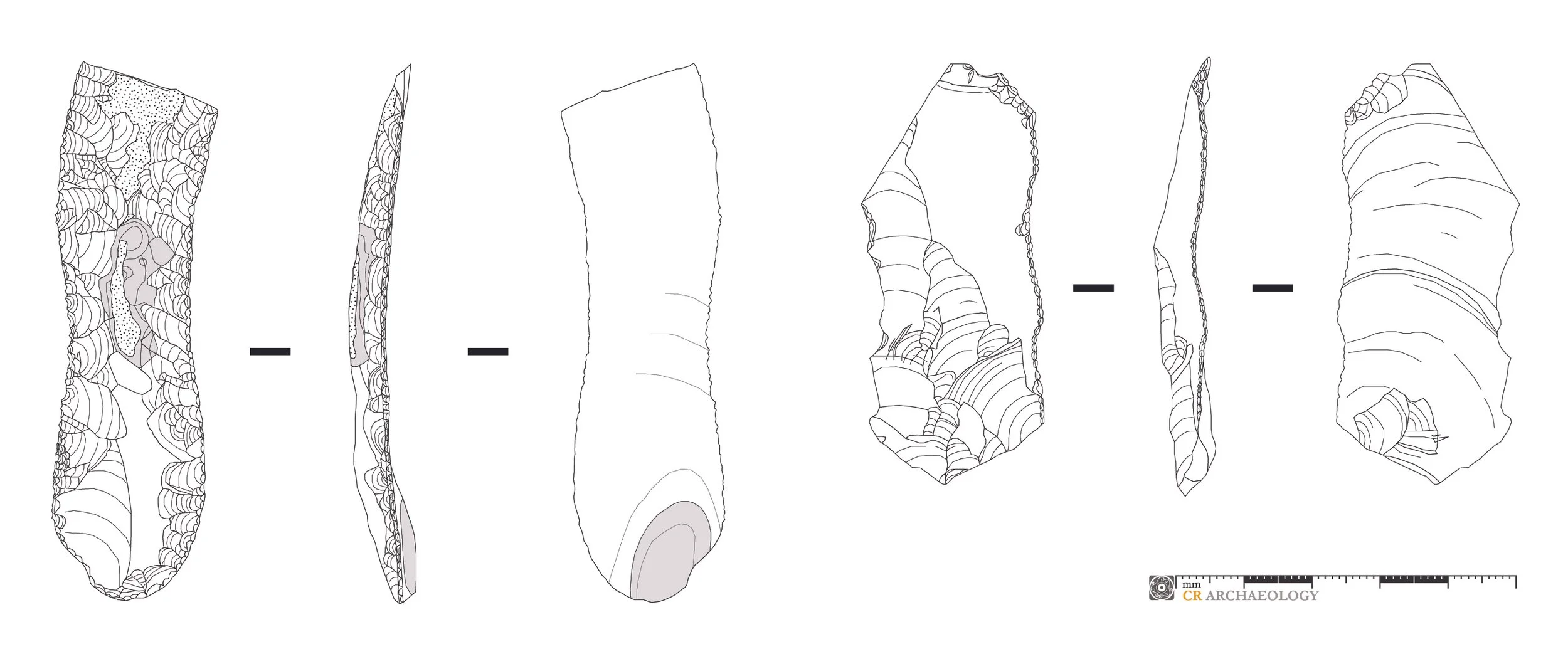 flint denticulates_illustration&photography.jpg
