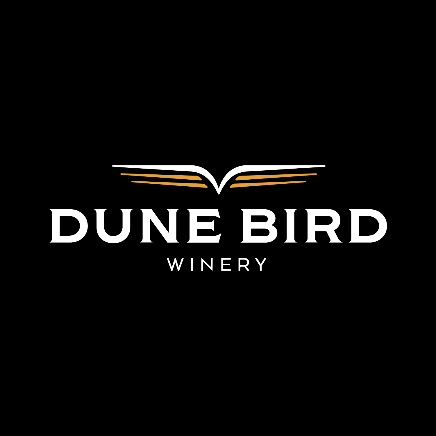Live Music at Dune Bird: Touch of Grey