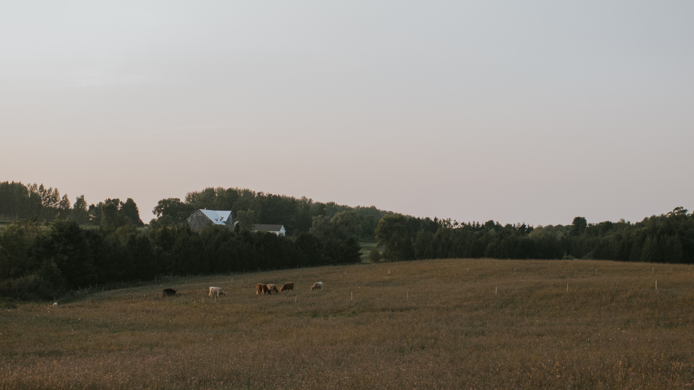 The Property. Rolling farmland and open sky, an experiential backdrop for outdoor ceremonies and celebrations.