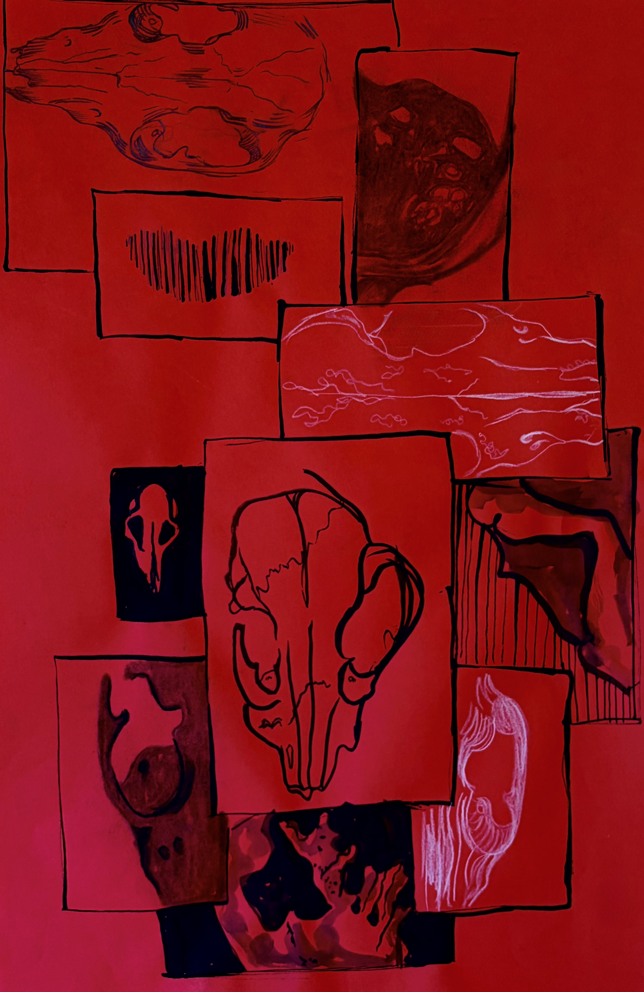 Skull Study I (2025)