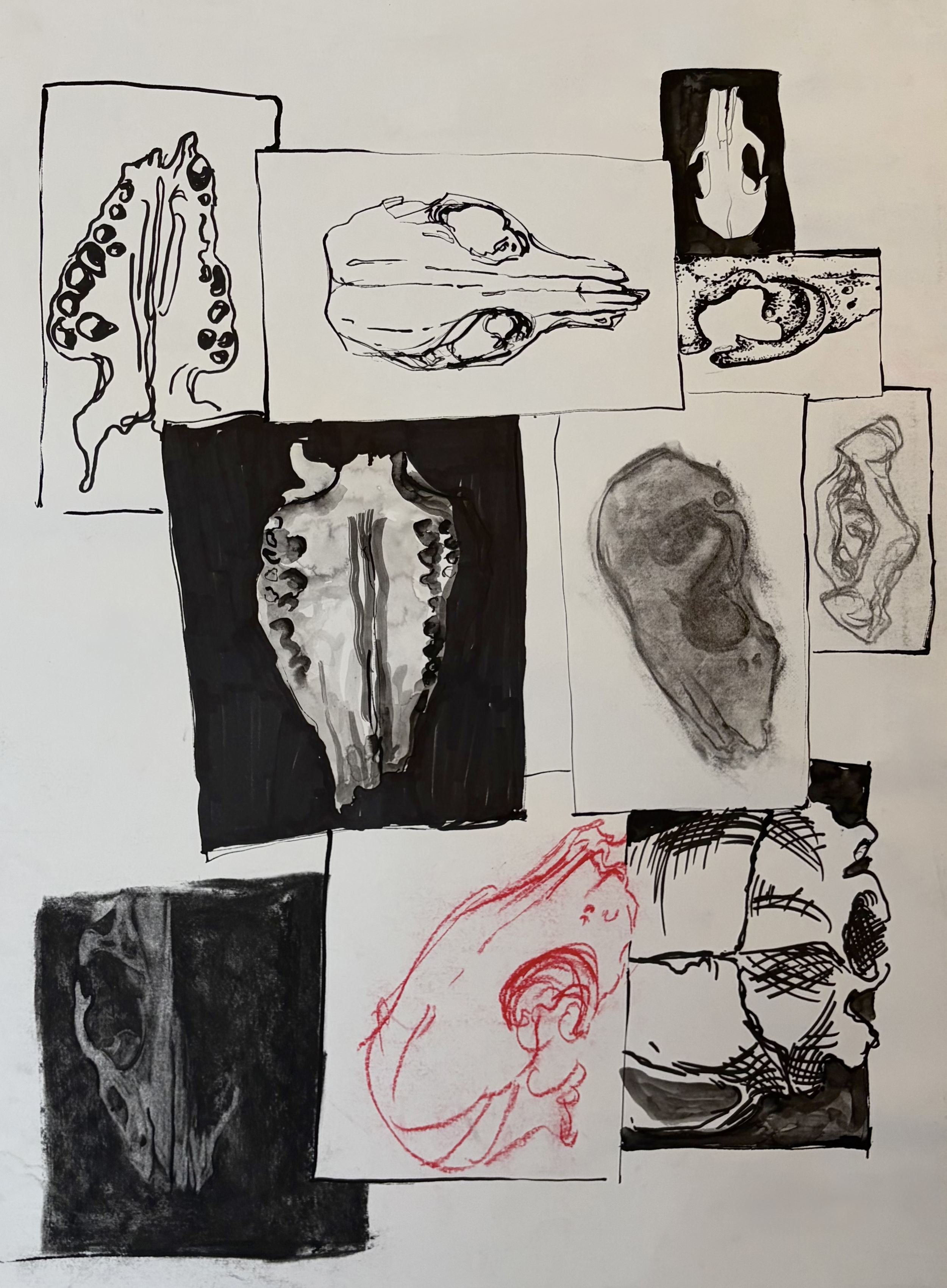 Skull Study II (2025)