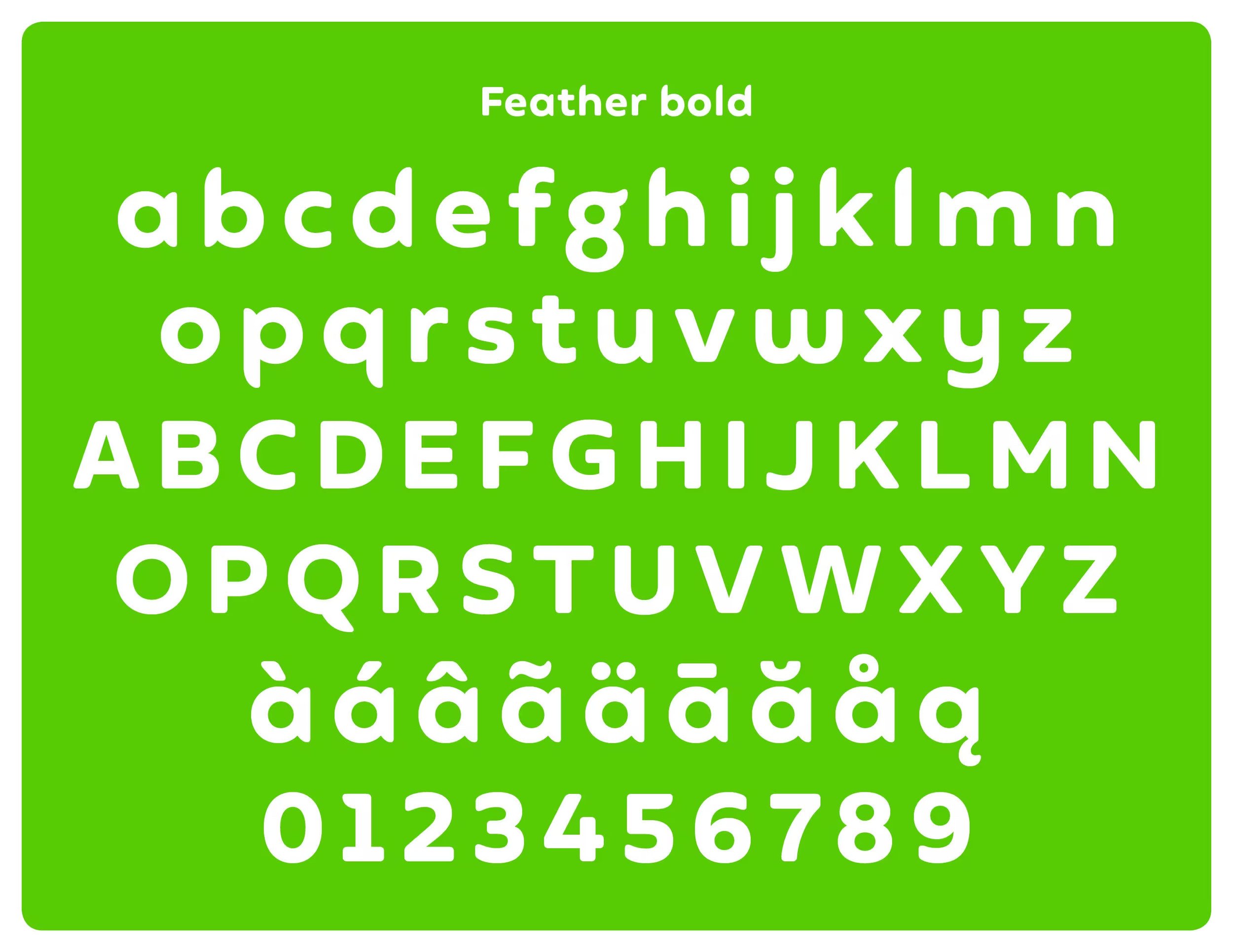 Duolingo_feather_bold-by-Johnson-Banks.png