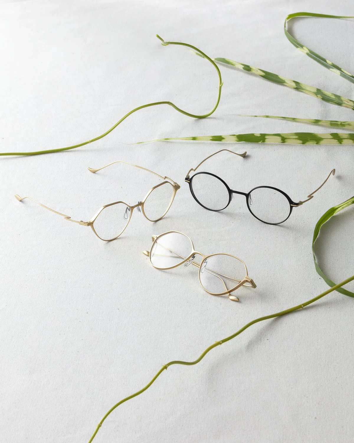 Eyewear still life: three optical frames laid out with green vines