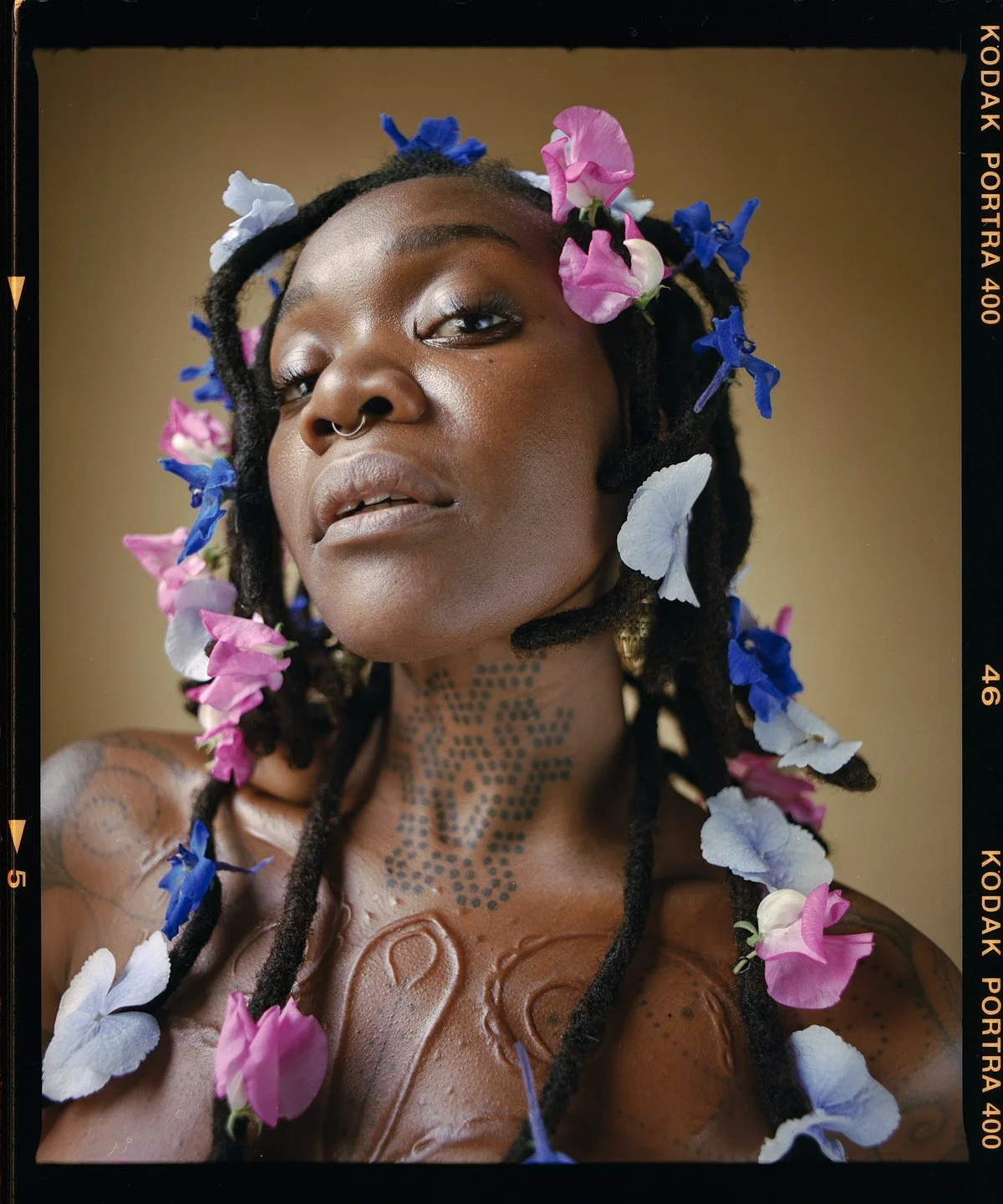 Studio beauty portrait: locs dressed with pink, white and blue petals
