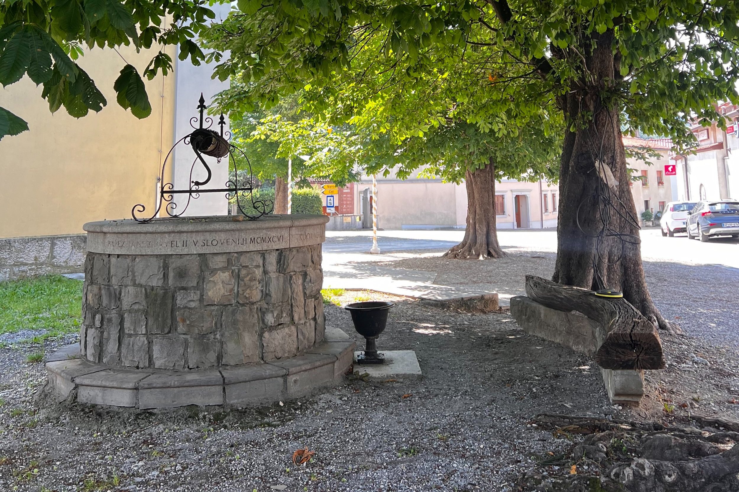 Strokovni pregled kostanjev v Vrhpolju kot del priprav na projekt