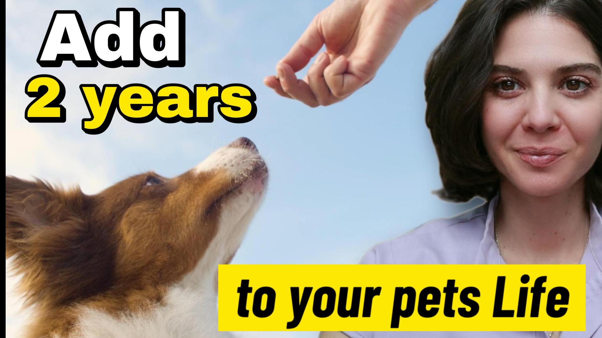 The One Thing You Can Feed Your Pet to Help Them Live Almost Two Years Longer