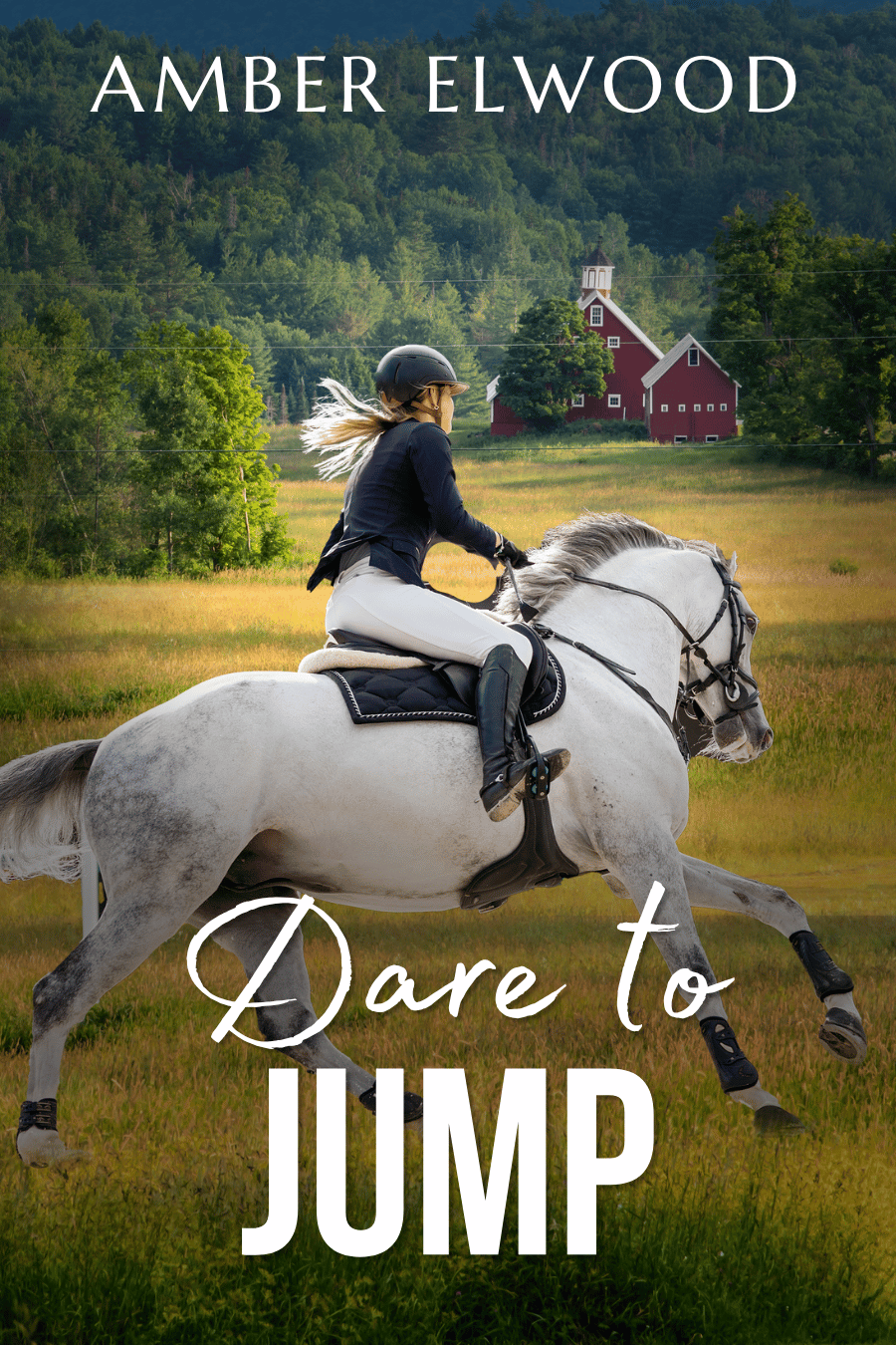 Cover of Dare to Jump ebook