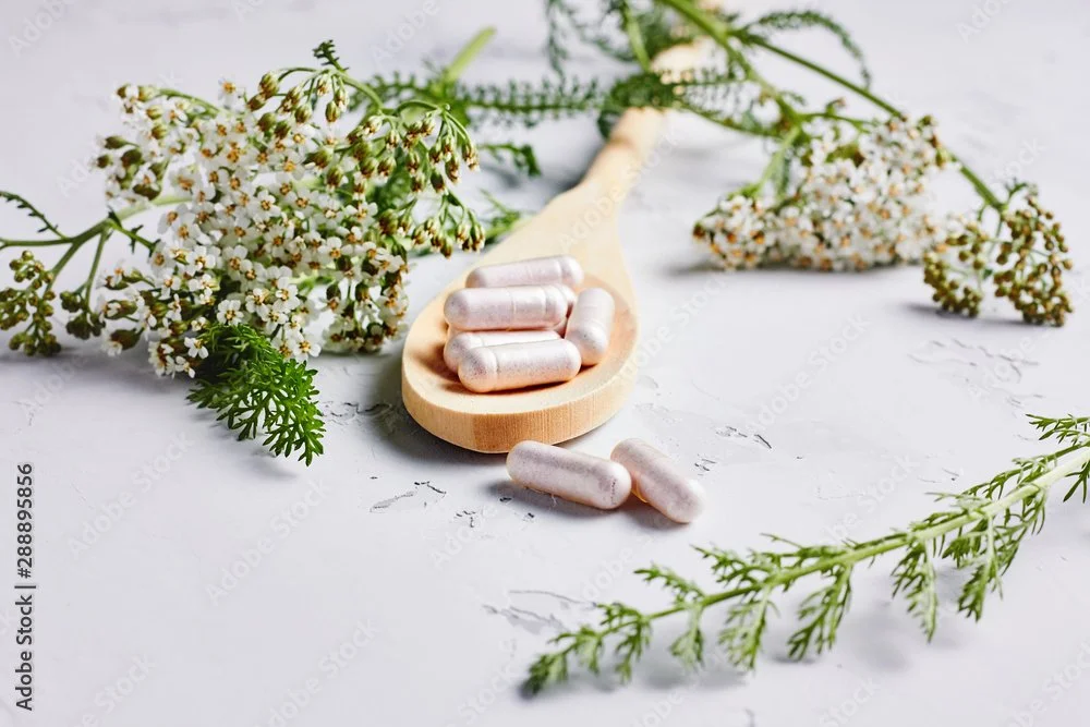 Mountain landscape with snow-capped peaks, rolling grassy hills in the foreground, and a modern building nestled among the hills.