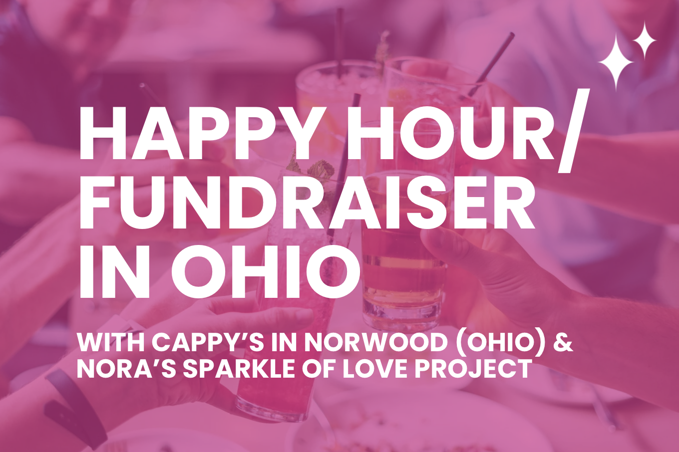 Nora's Sparkle of Love Project Fundraiser at Cappy's in Norwood (OH)