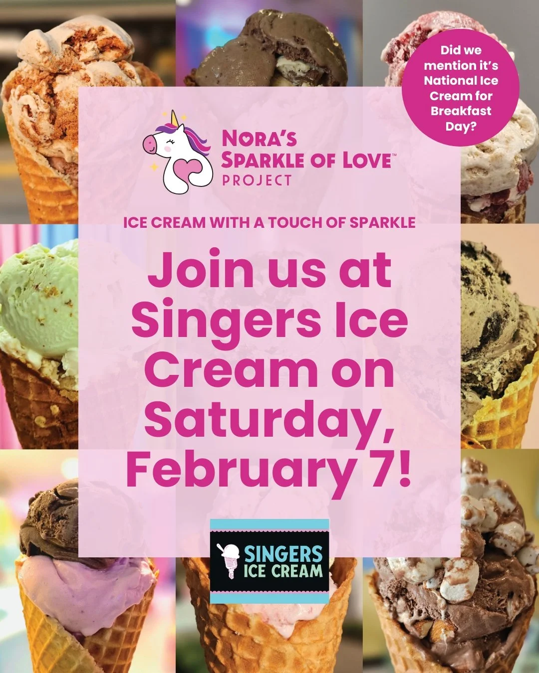 NSLP x Singers Ice Cream Collaboration