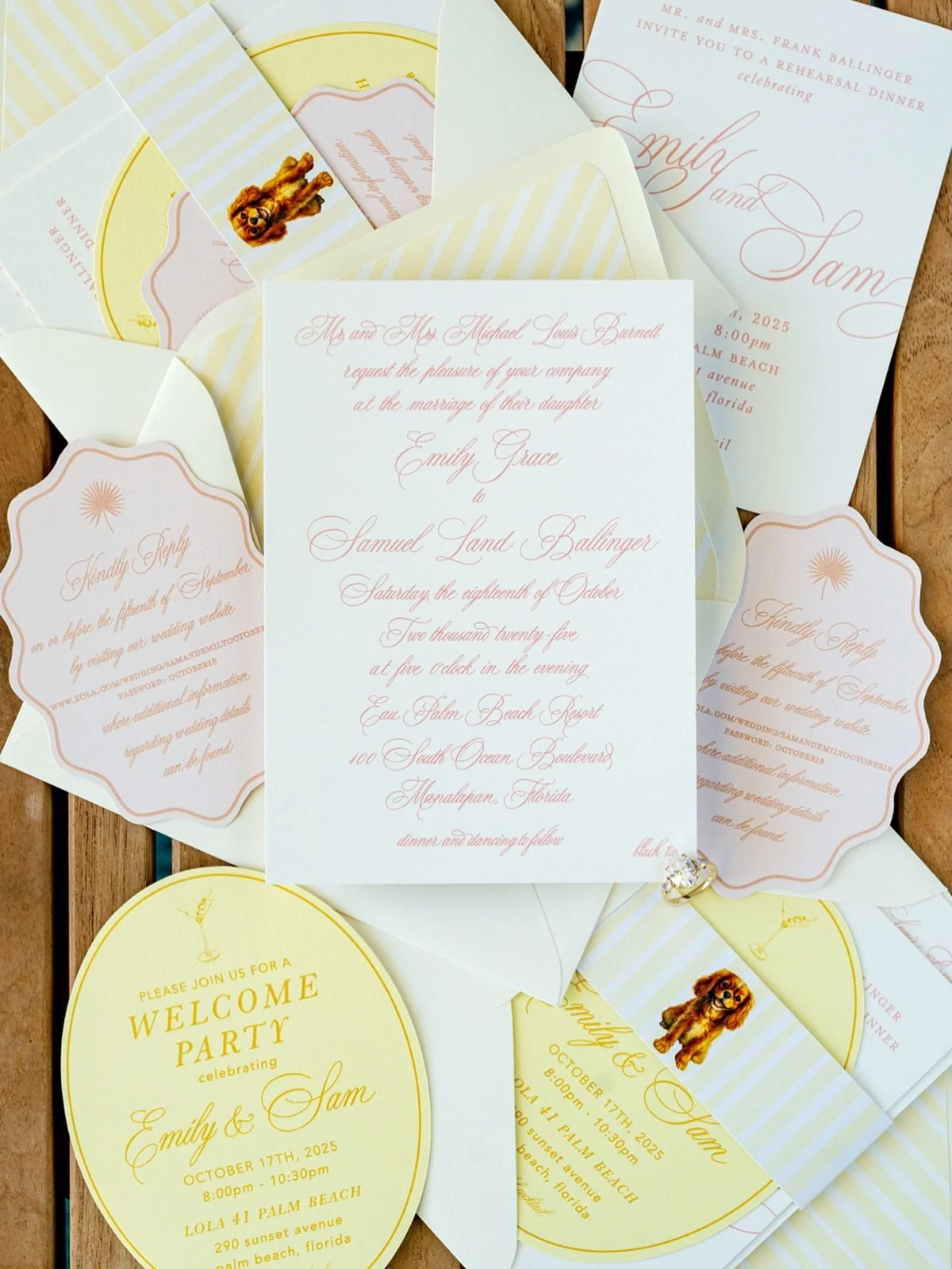 Dreaming of a Palm Beach celebration with all of this rain in Charleston 💛🐶🌸