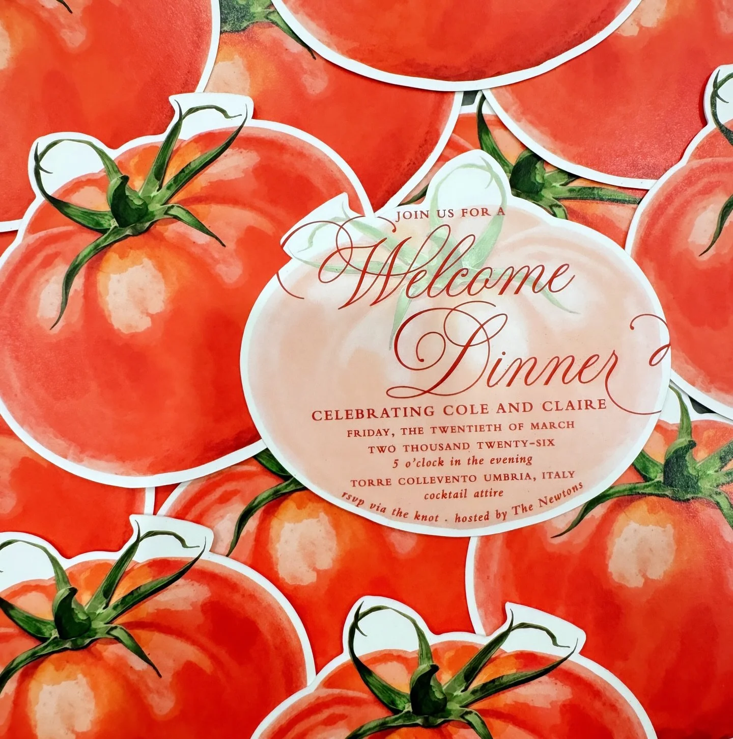 2026 off to a FUN start! 🍅✨
Dreaming of an Italian getaway this year!💭💭💭