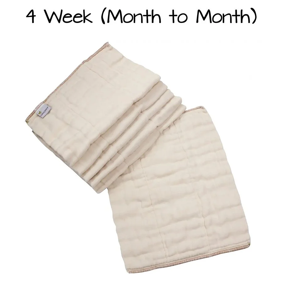 PRE FOLD 4 WEEK SERVICE