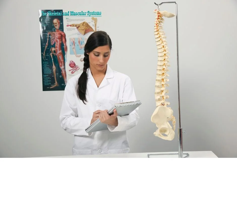 What Chiropractors Should Know Before Accepting QME Assignments in California