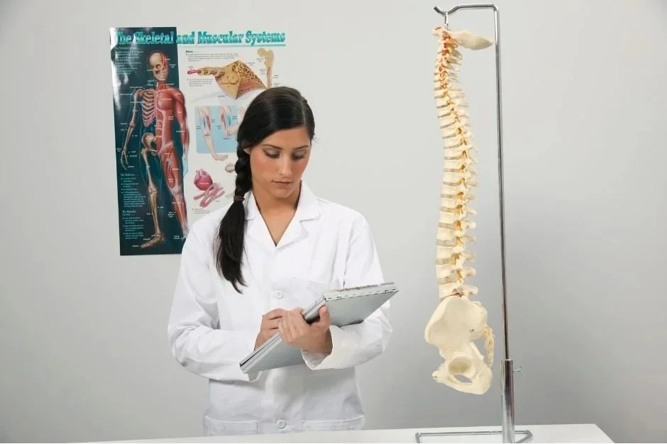 Chiropractor reviewing medical records for a California QME evaluation