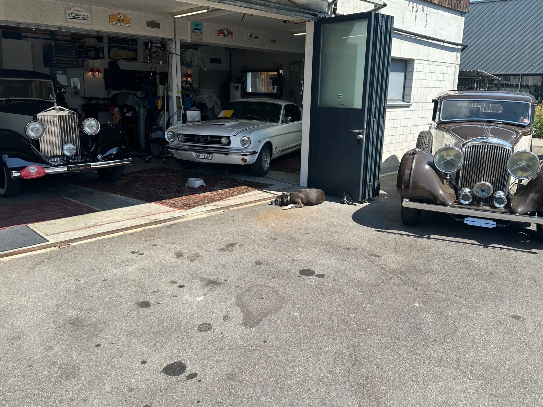 Zwei klassische Autos, ein weißes Muscle Car in einer Garage und ein braunes Retro-Auto vor der Garage, mit einem Hund, der auf dem Boden liegt.
