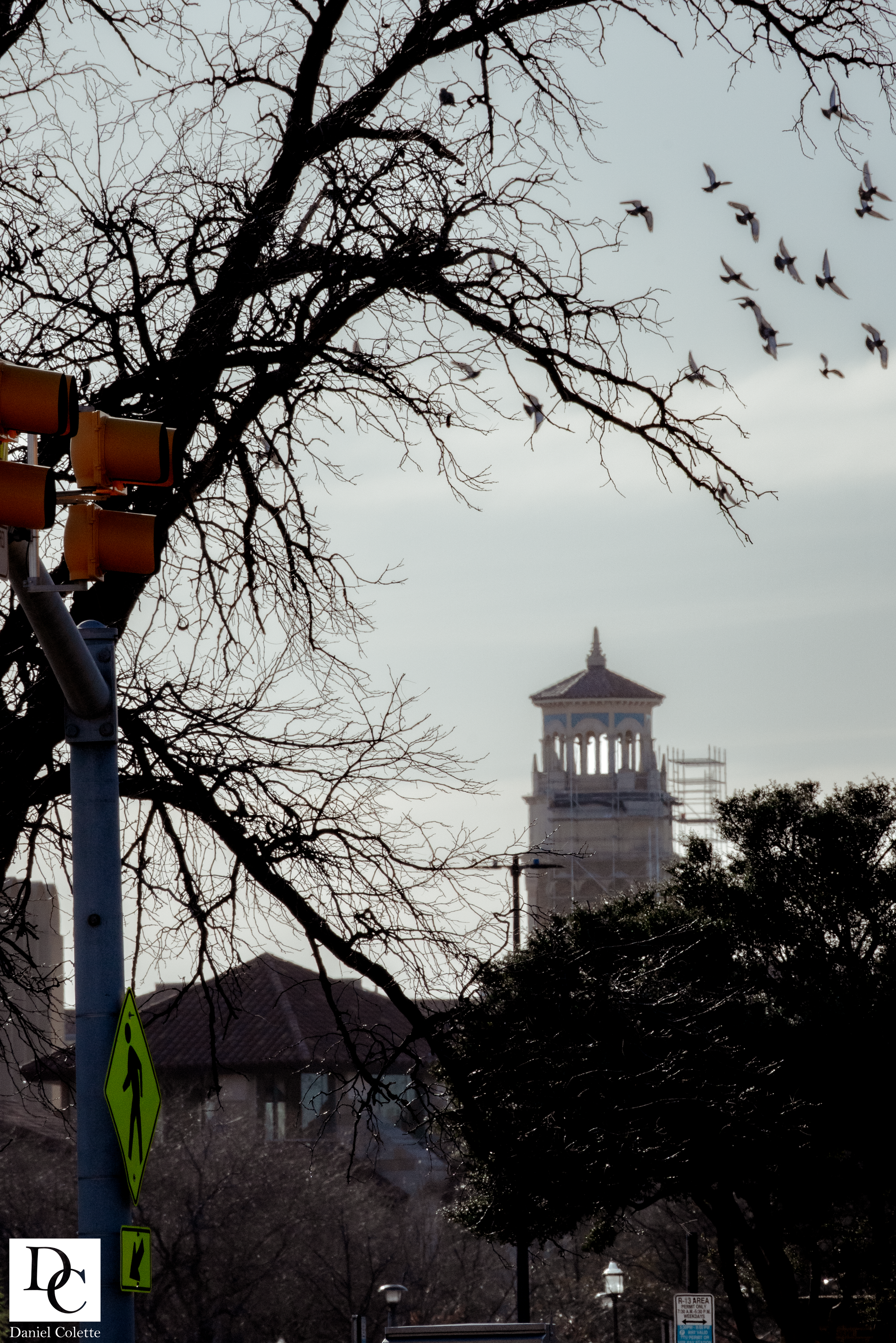 3-6-26 V2 (35 of 53).png