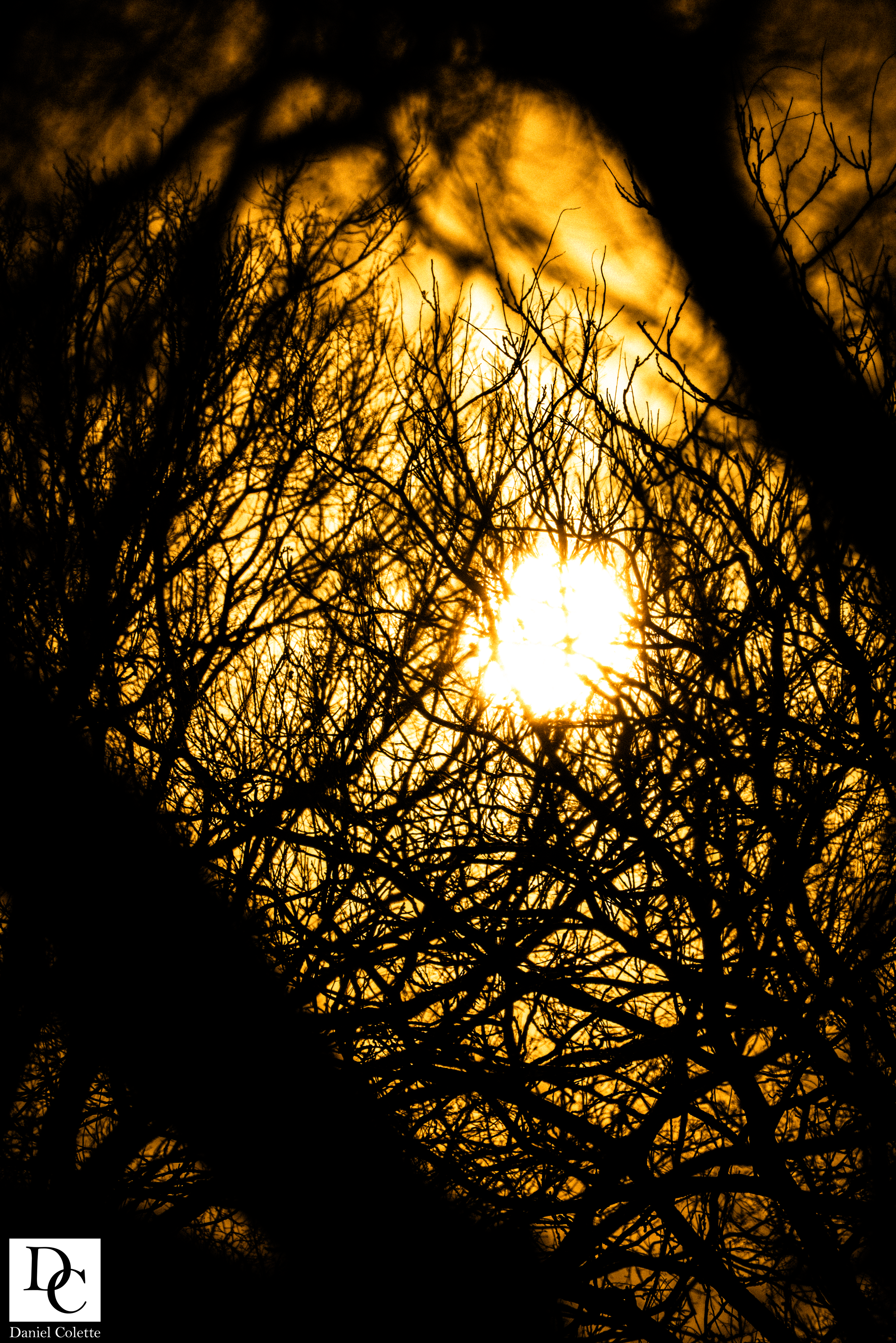 3-6-26 V2 (50 of 53).png