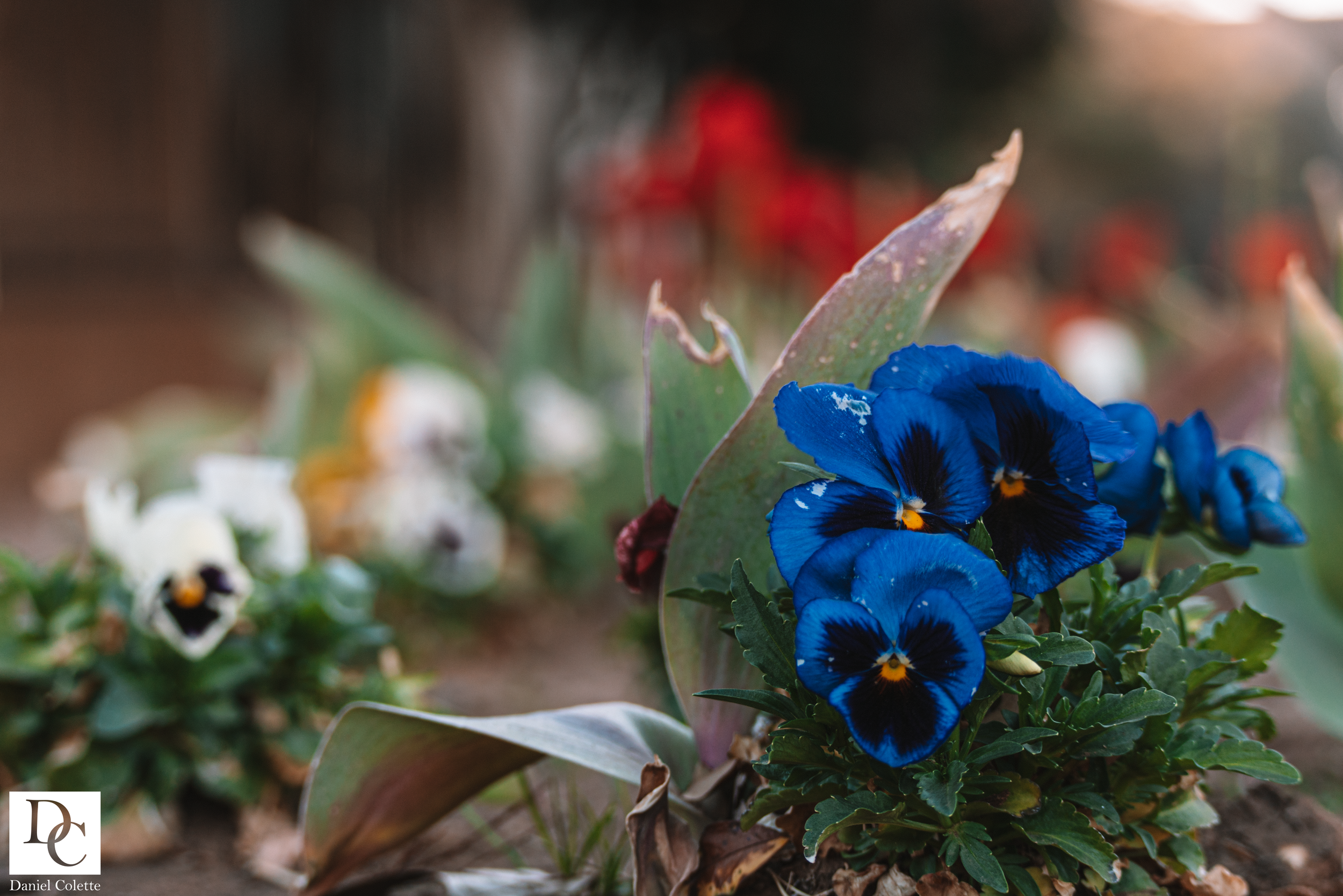 3-6-26 V2 (39 of 53).png