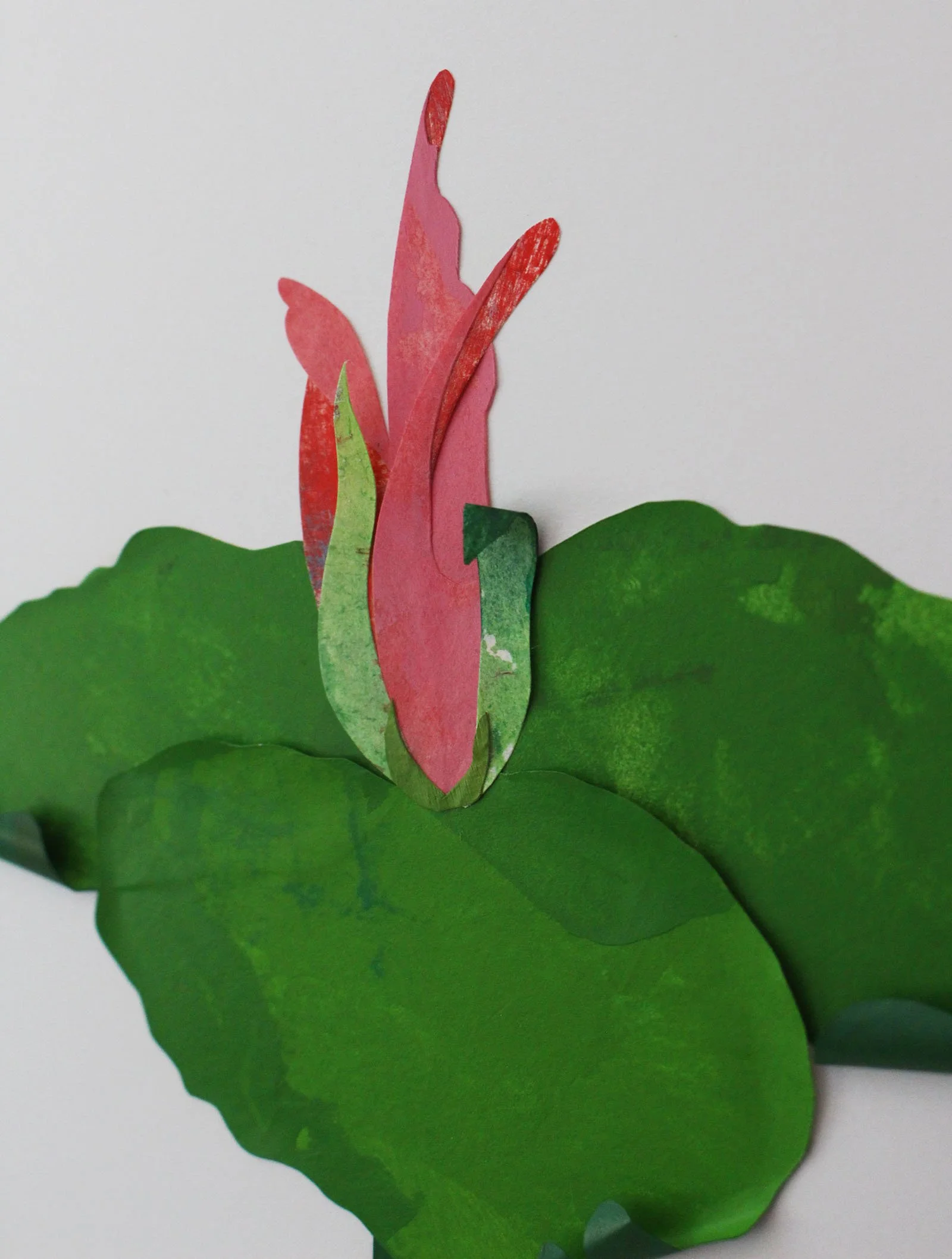 pinkdetail.jpg