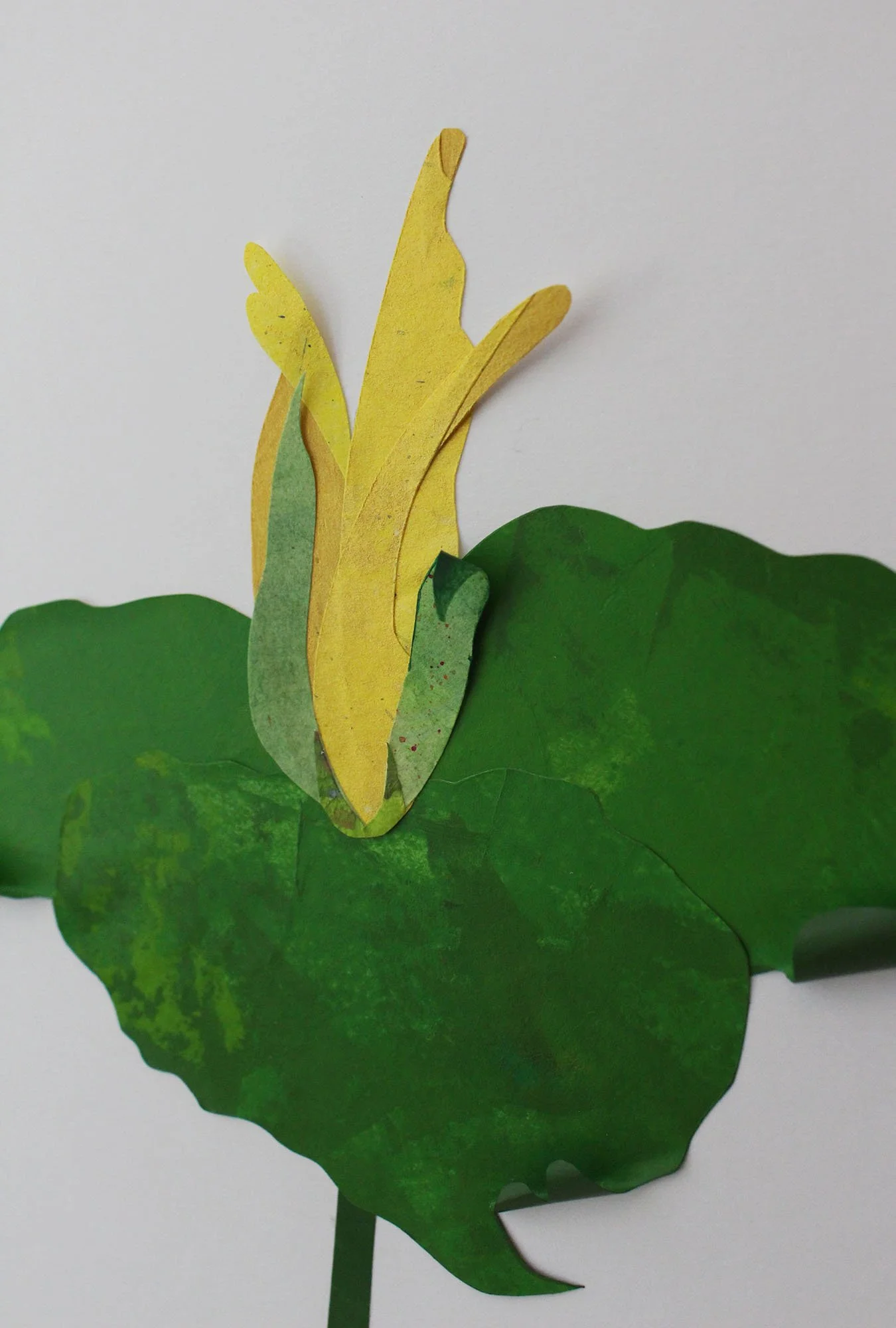 yellowdetail.jpg