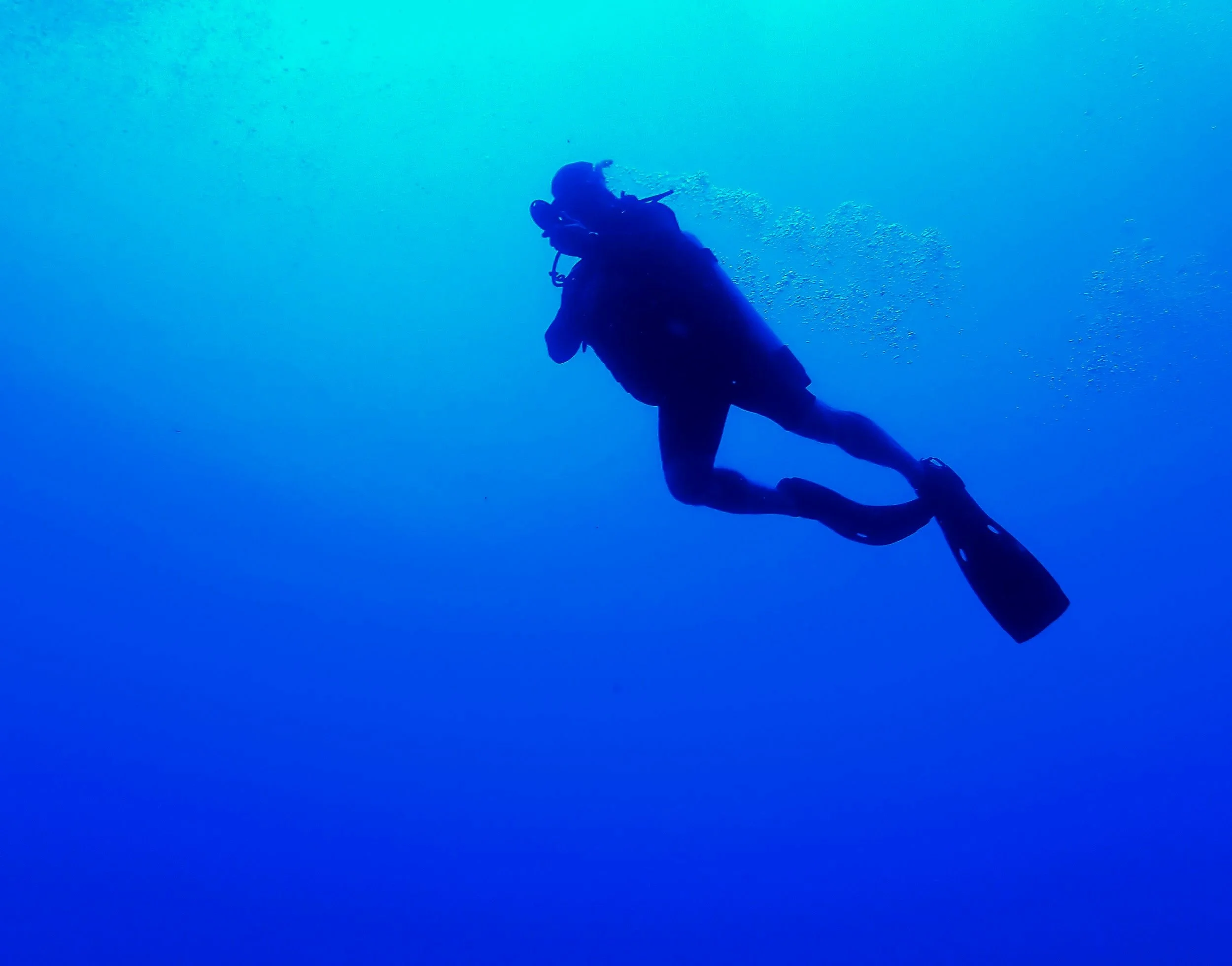 Tips for a Memorable Tropical Dive Experience