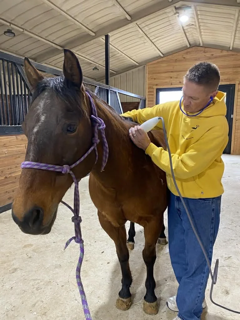 Dr. Stramel performing PulseVet shockwave therapy on horse’s shoulder to treat pain