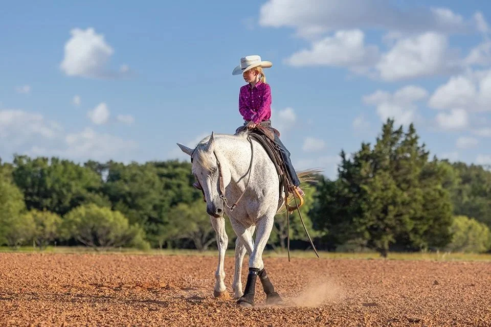 What Causes Equine Anhidrosis?