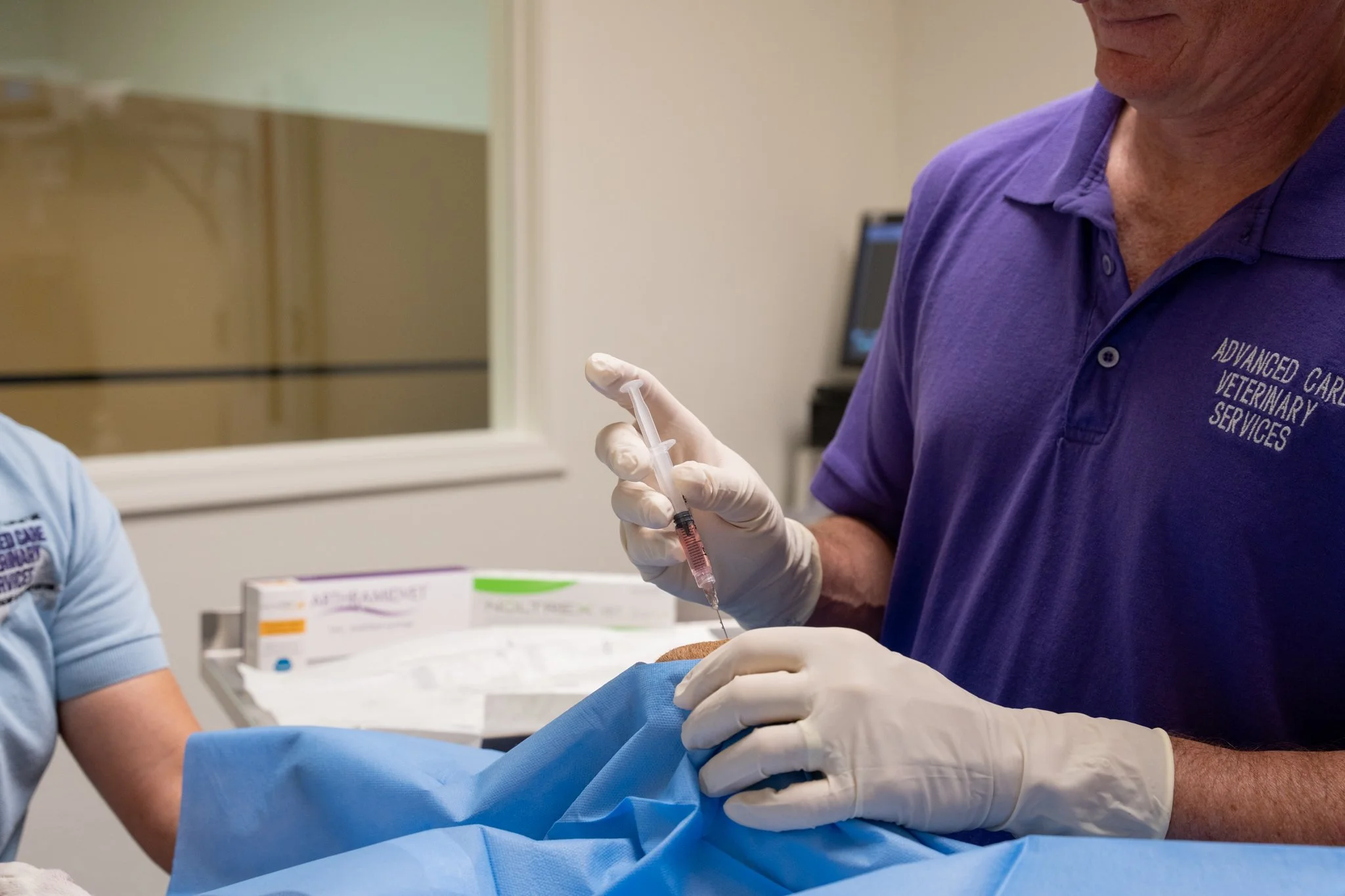 Veterinary joint injection procedure for dog joint pain and arthritis in Carrollton, TX