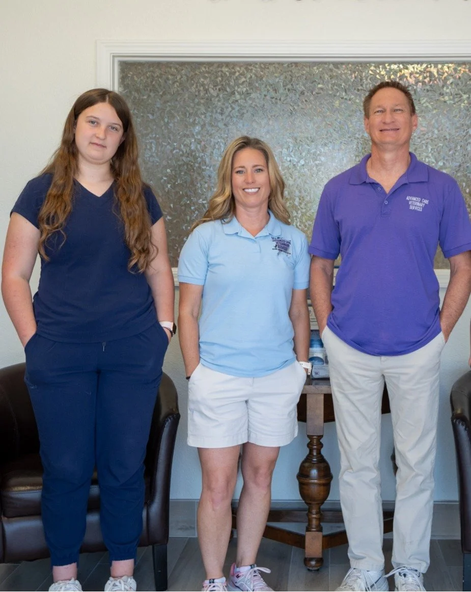 Advanced Care Veterinary team Dr Stramel family-owned dog rehab and pain management clinic Carrollton TX