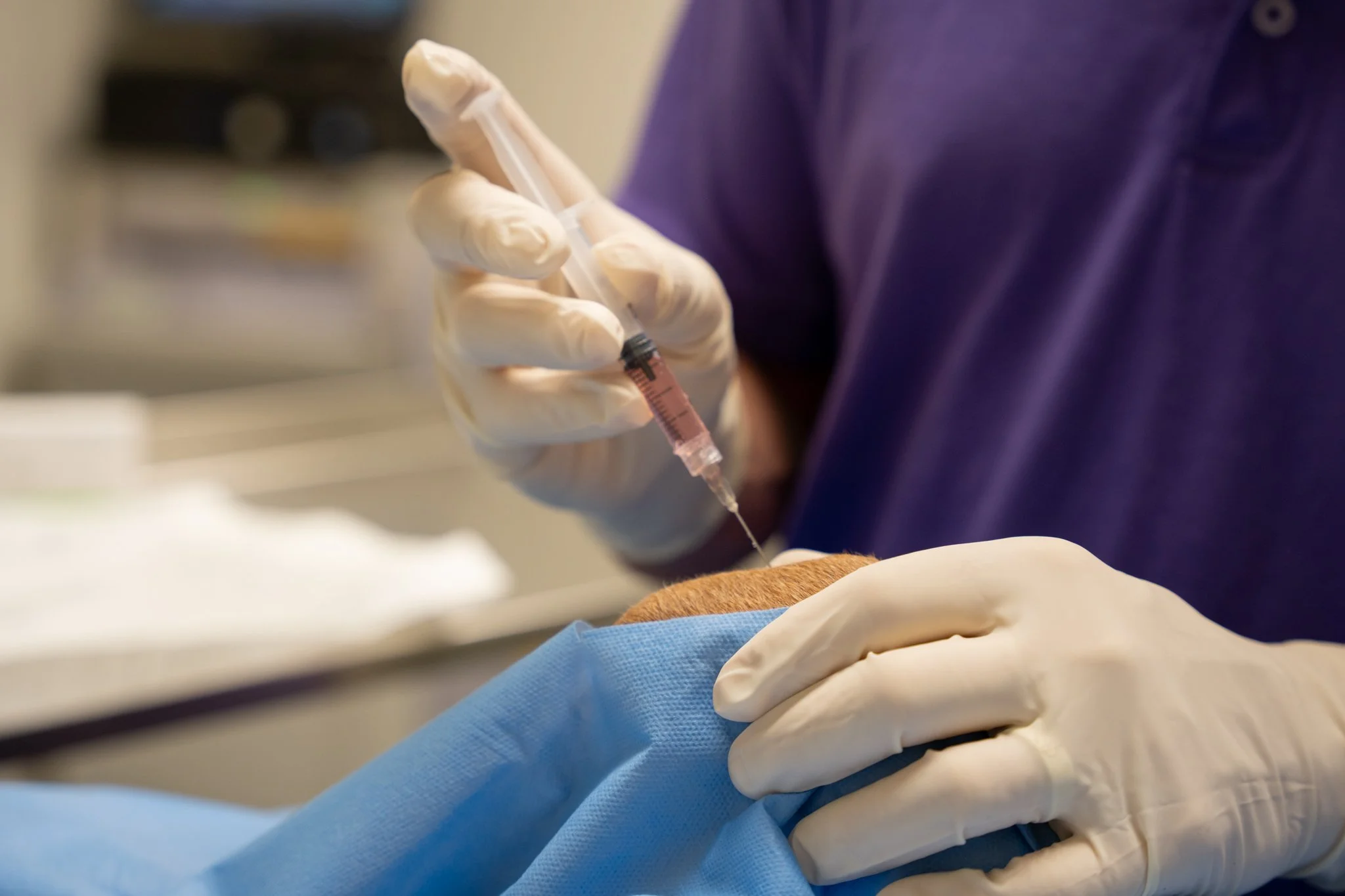 PRP and stem cell joint injections for pet arthritis pain relief at Advanced Care Veterinary Services in Carrollton, TX