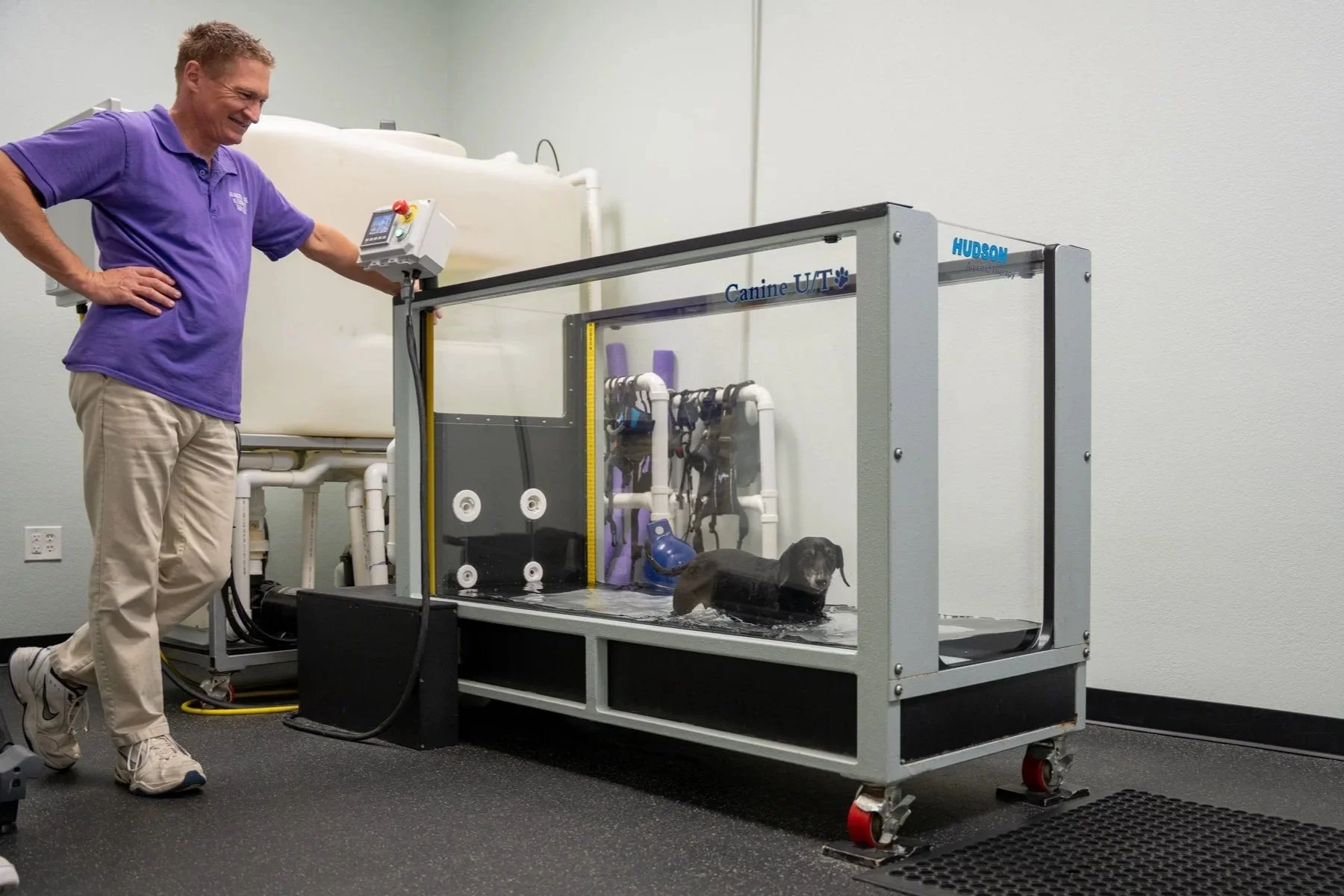 Veterinarian with canine underwater treadmill for dog hydrotherapy, pain relief and mobility rehab at North Texas clinic in Carrolton.