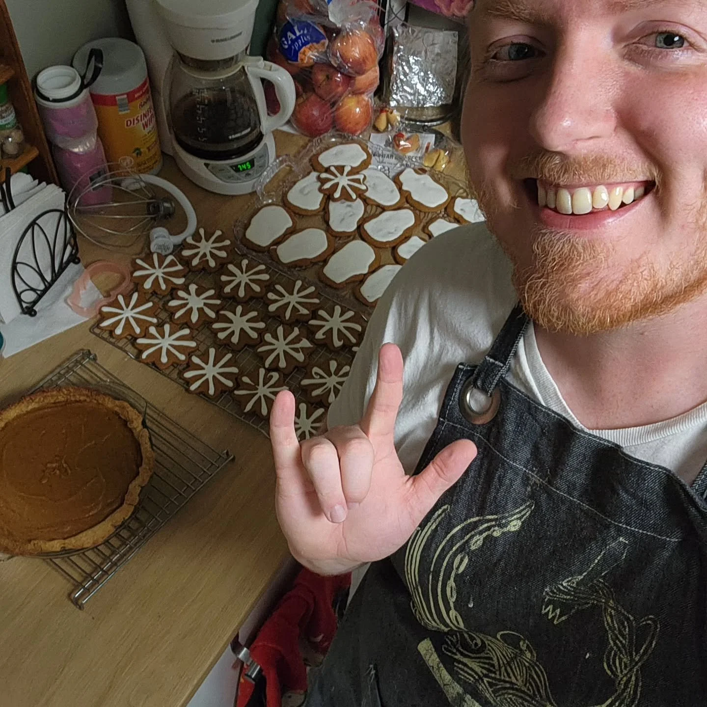 This Christmas's annual unnecessarily extra baking projects are brought to by corny christmas music and @altonbrown recipes!  Love y'all, and happy holidays!