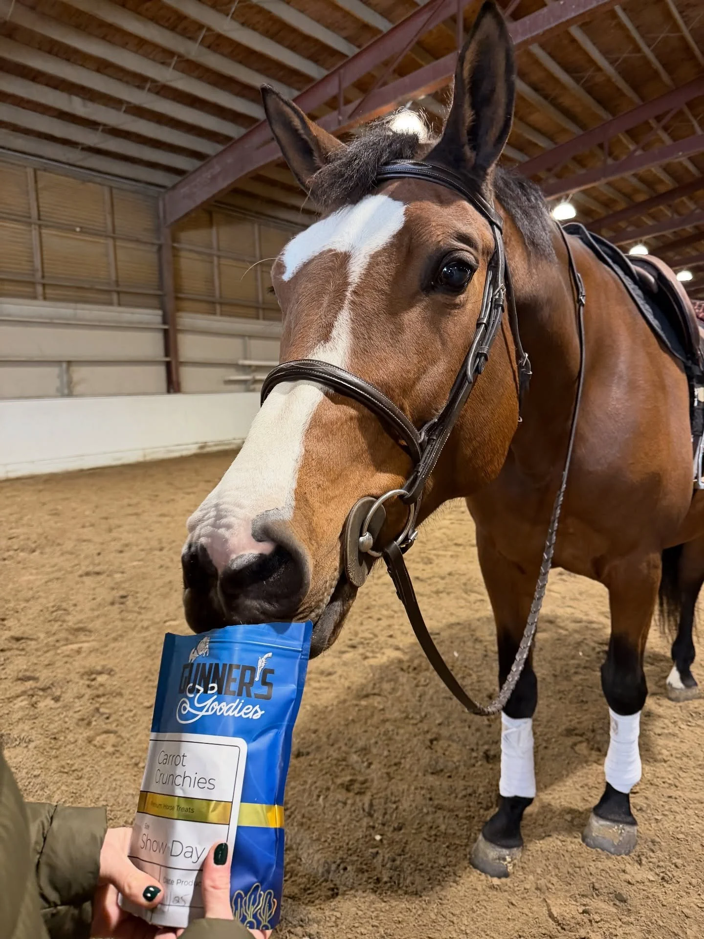 One look is all it takes! 😍 Mira is obsessed! 

#horse #horsephotography #horseshowlife #equestrianstyle #horsetreat #healthyhorses @kpatton24 #topg
