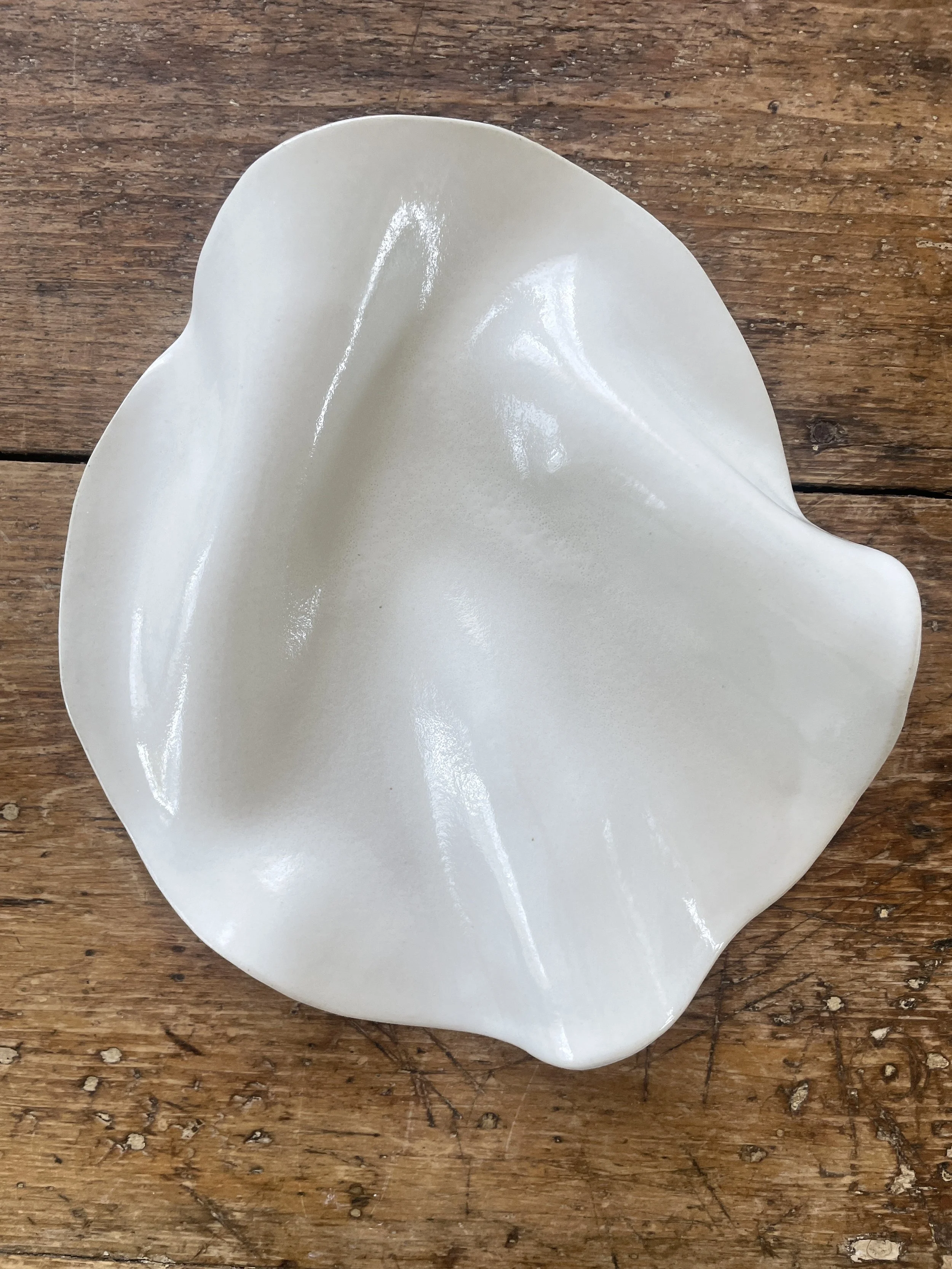 11 in. x 10 in. length, 2 in. height