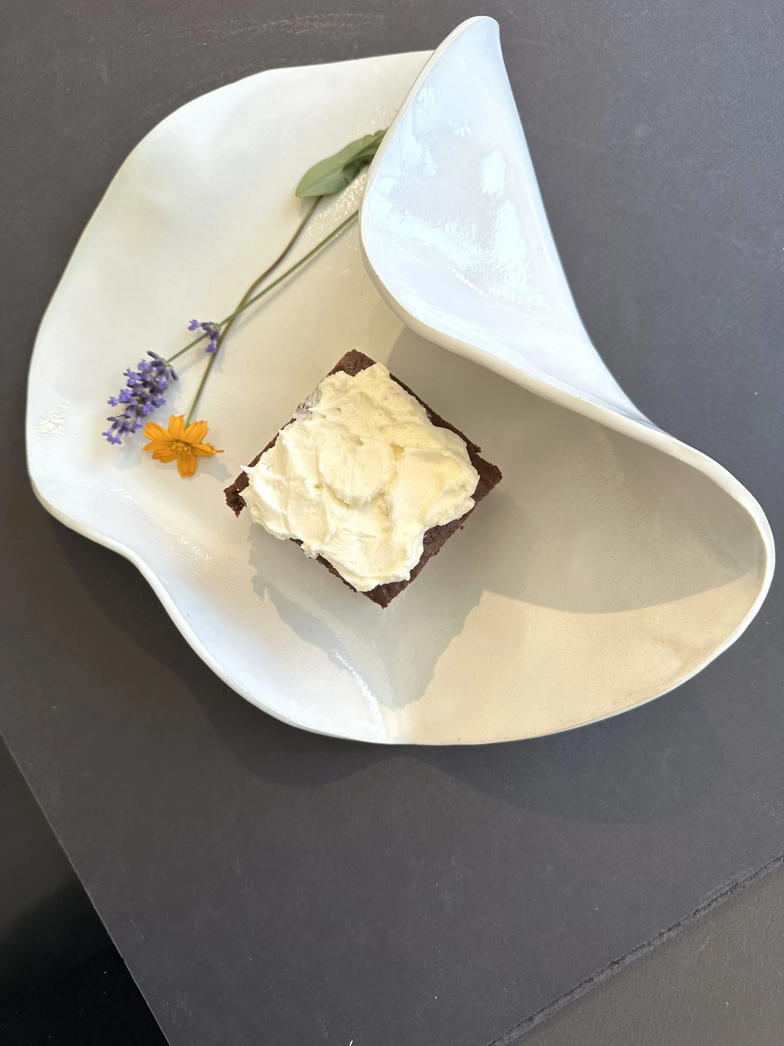 11 in. length x 5 in. height