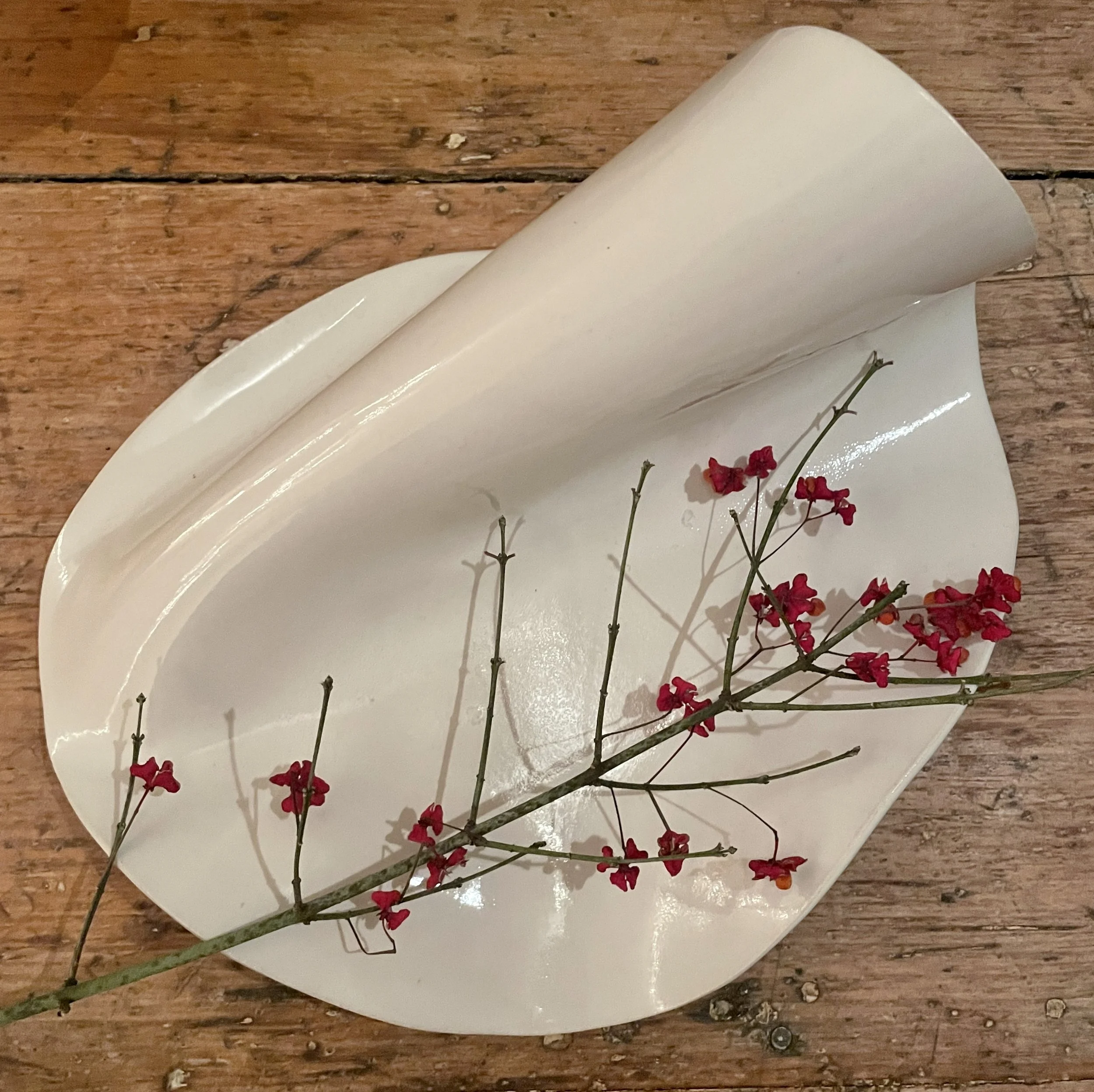 Sculpture, white gloss, untitled 12in w x 7in h
$200 Sold