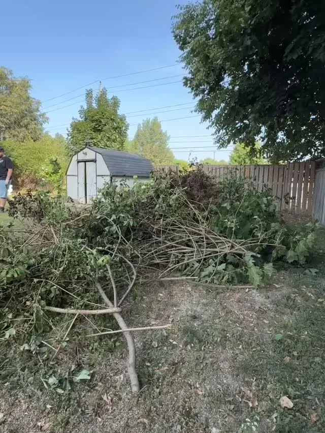 Looking to clean up your yard? We do tree removal aswell! Call JUNK RANGER. 5199023275